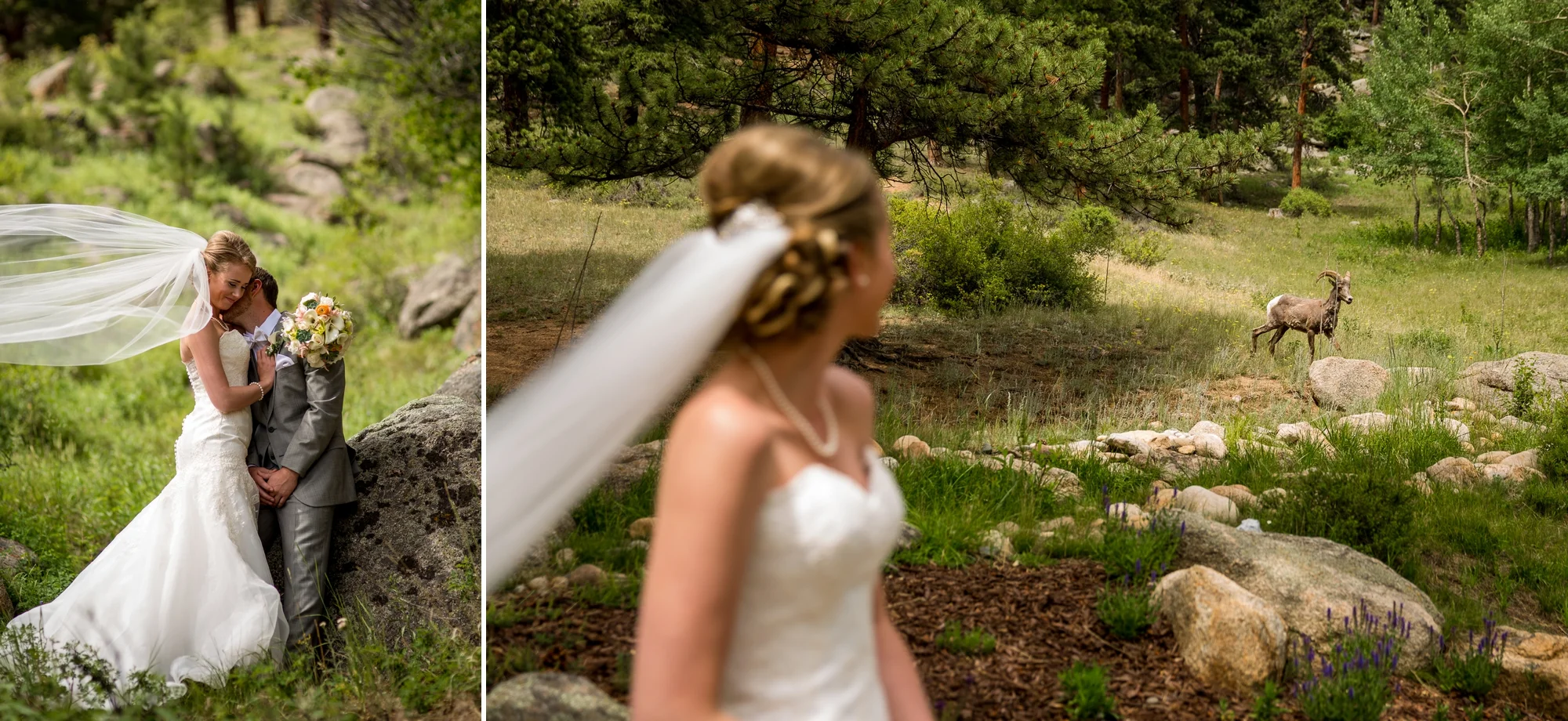 Della Terra Mountain Chateau Wedding Photographer