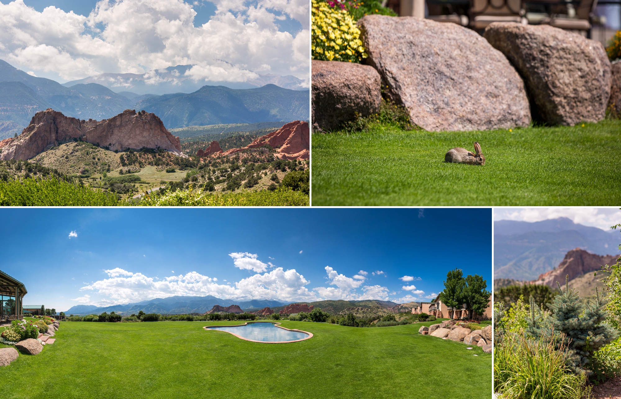 Garden of the Gods Country Club, Colorado Springs Wedding