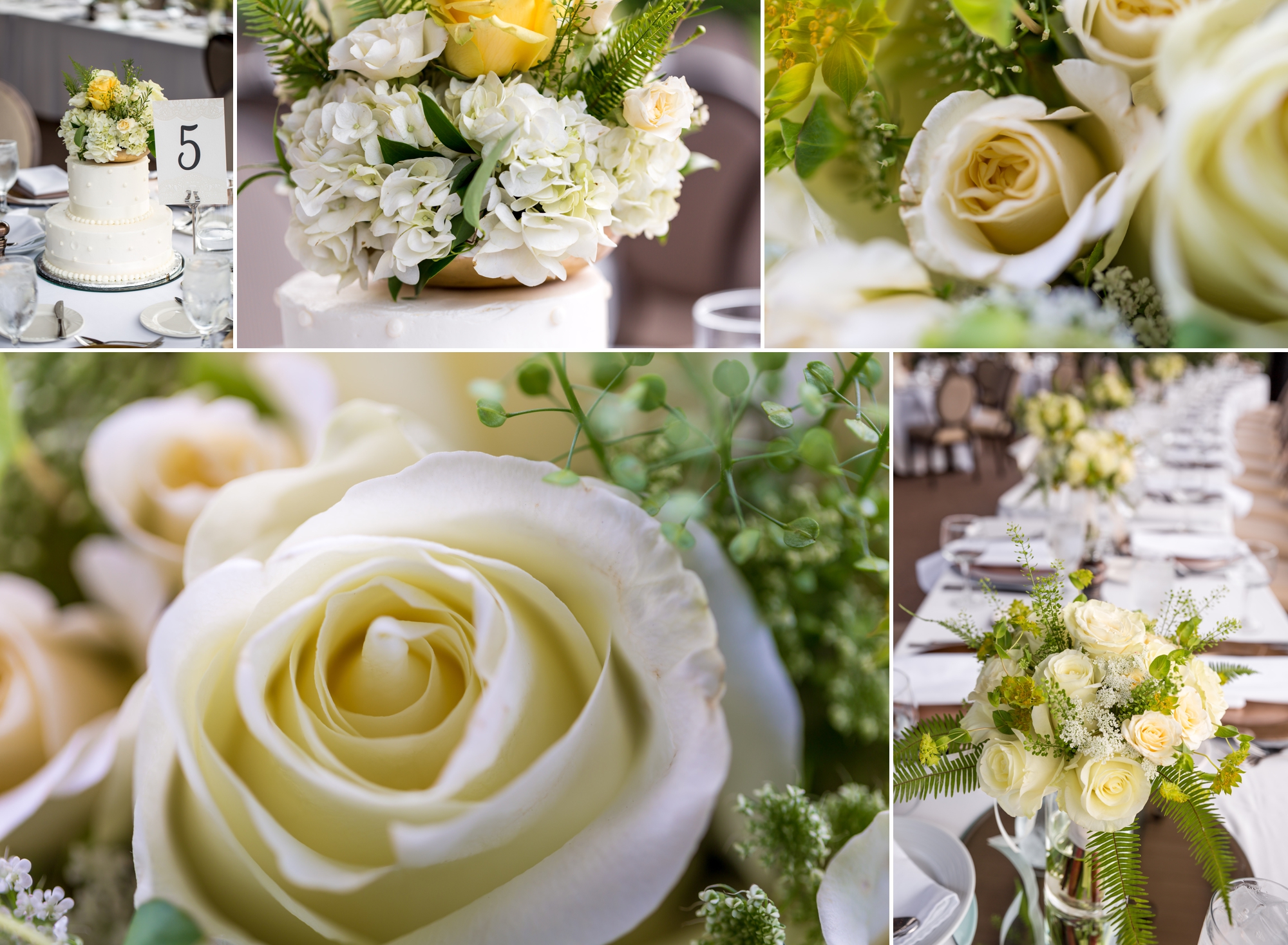 Garden of the Gods Country Club, Colorado Springs Wedding