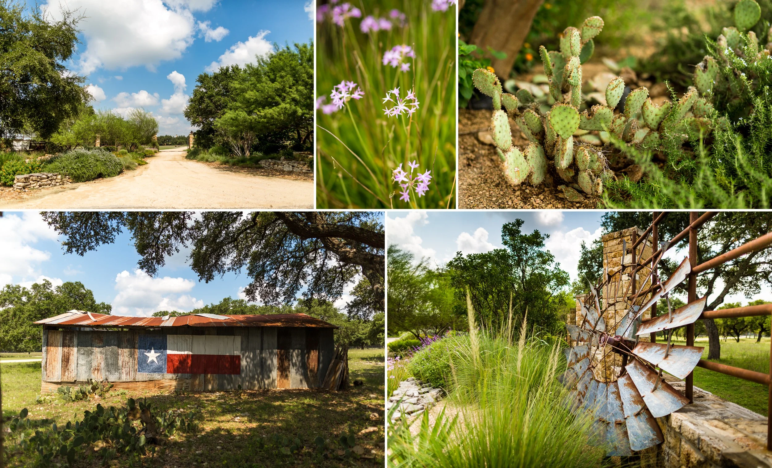 Branded T Ranch Wedding in Kendalia, TX