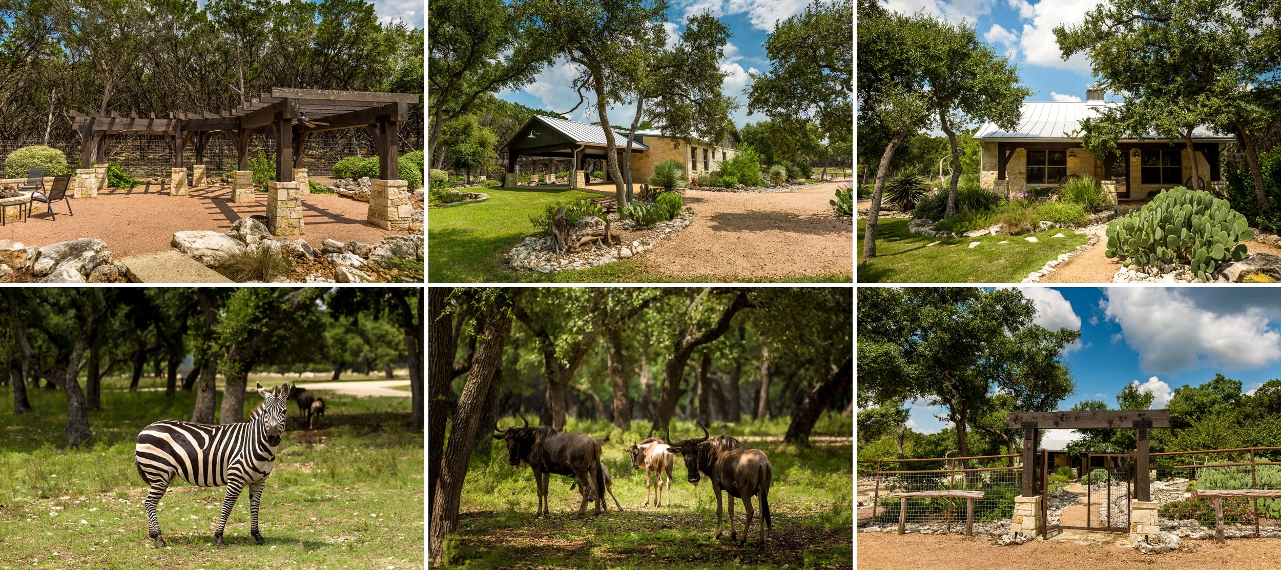 Branded T Ranch Wedding in Kendalia, TX