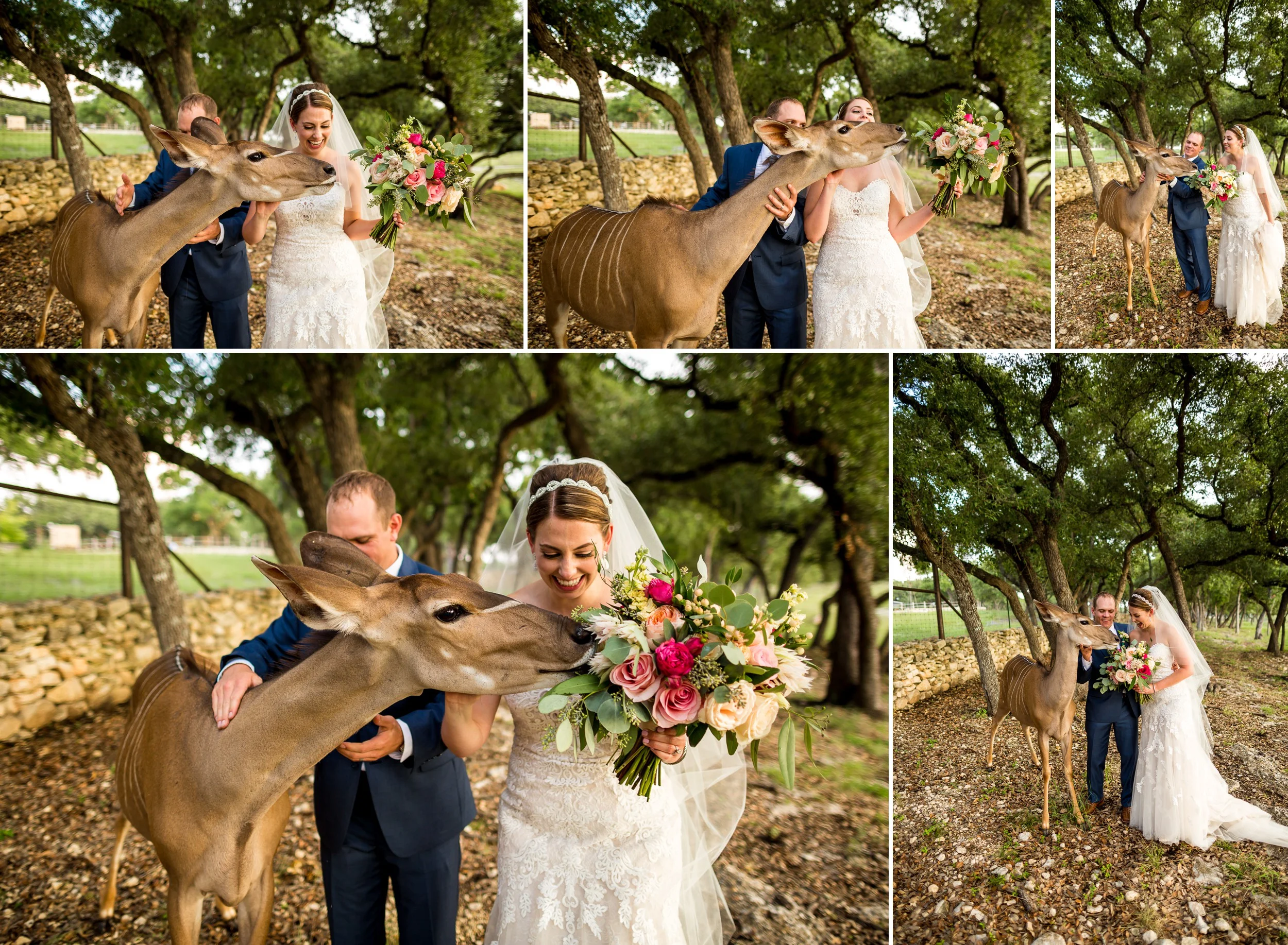 Branded T Ranch Wedding in Kendalia, TX