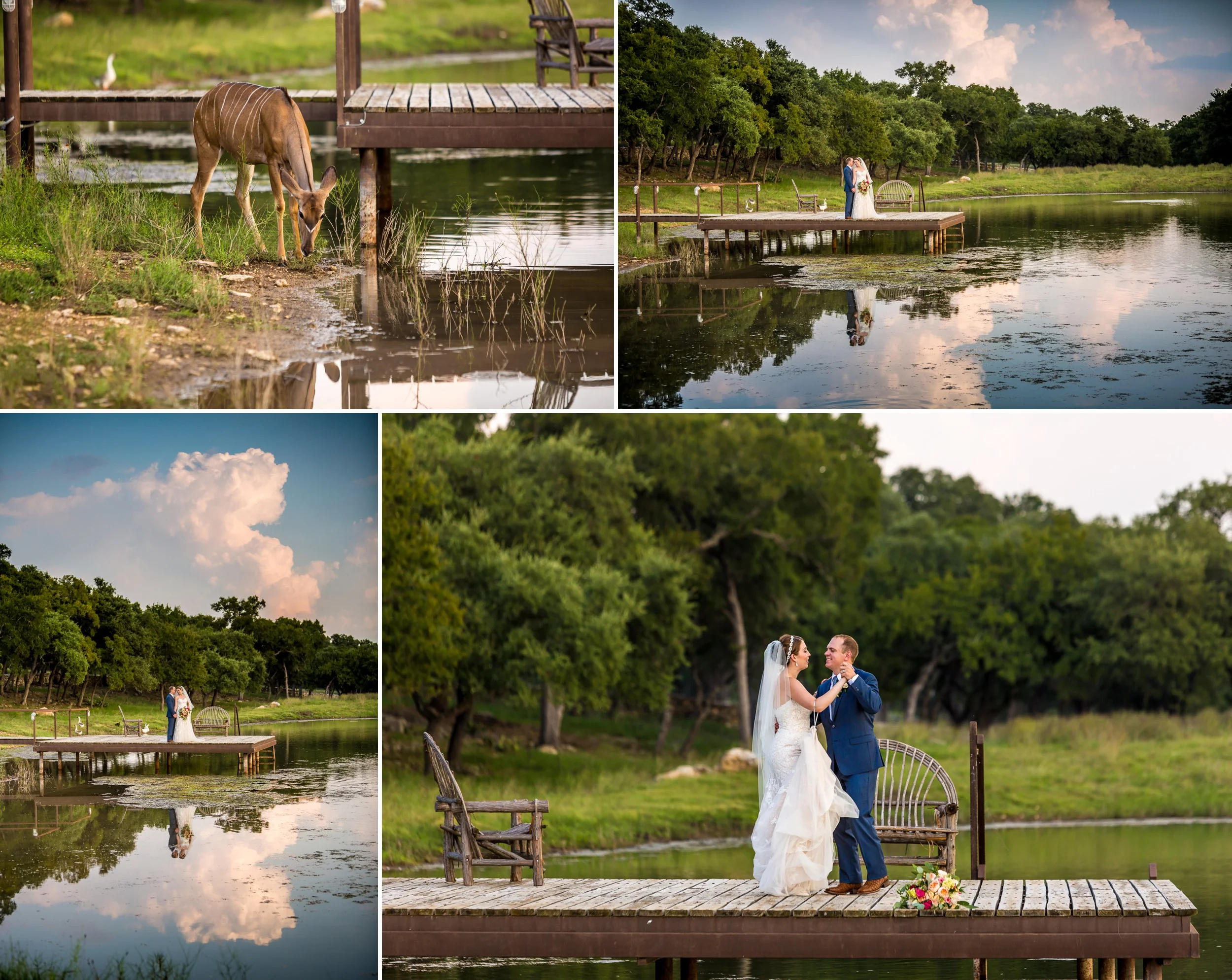 Branded T Ranch Wedding in Kendalia, TX