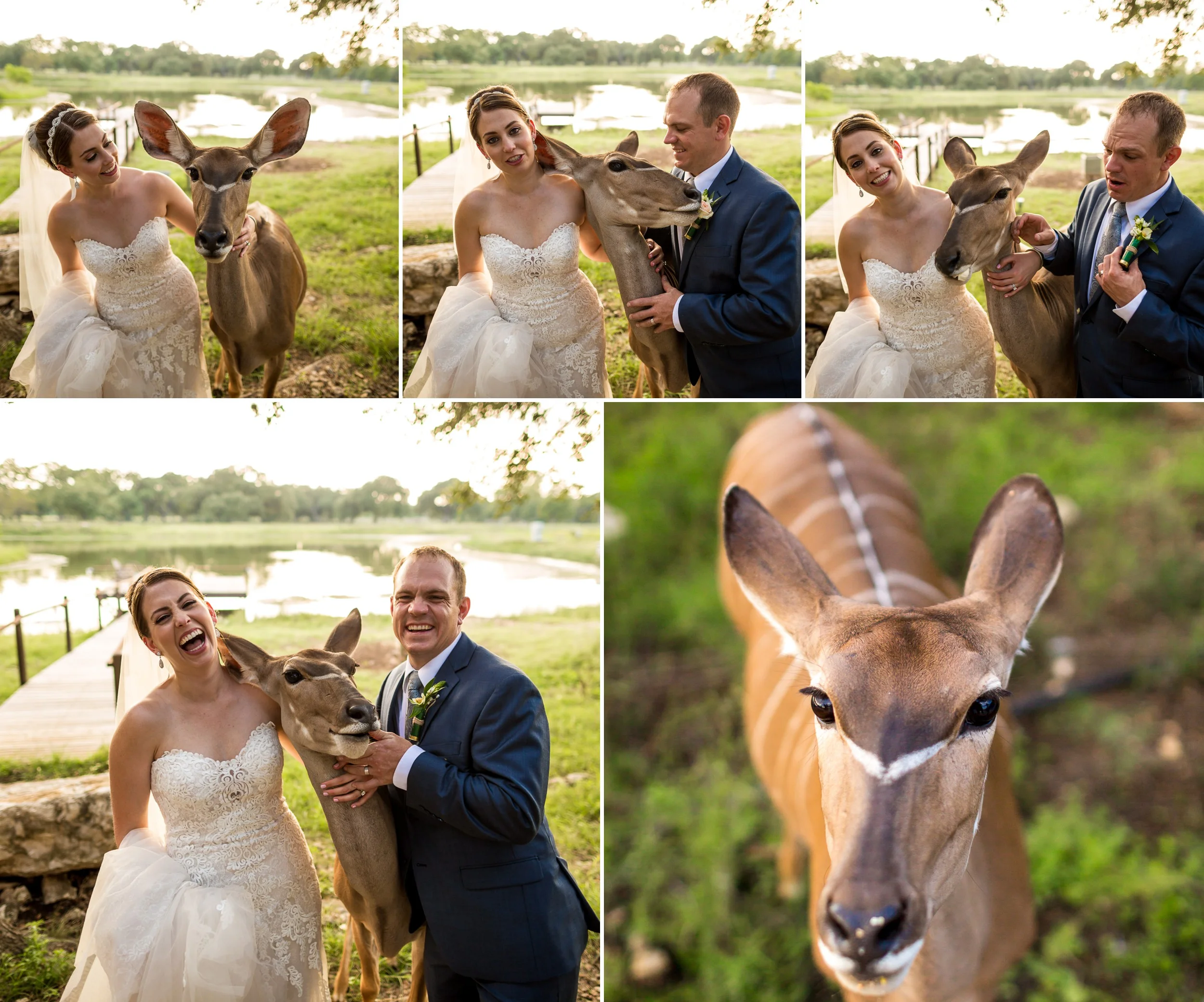 Branded T Ranch Wedding in Kendalia, TX