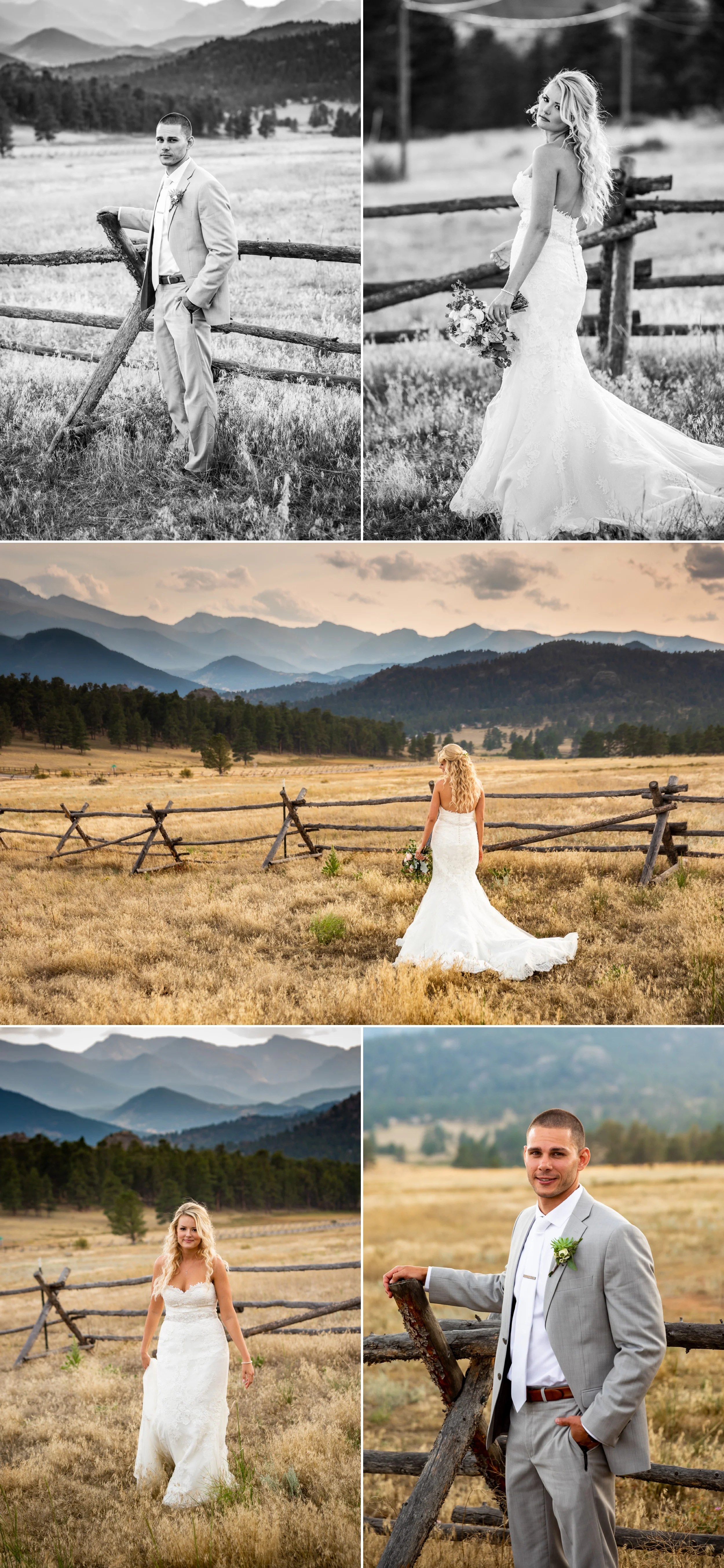 Wedding Portraits in Estes Park Colorado