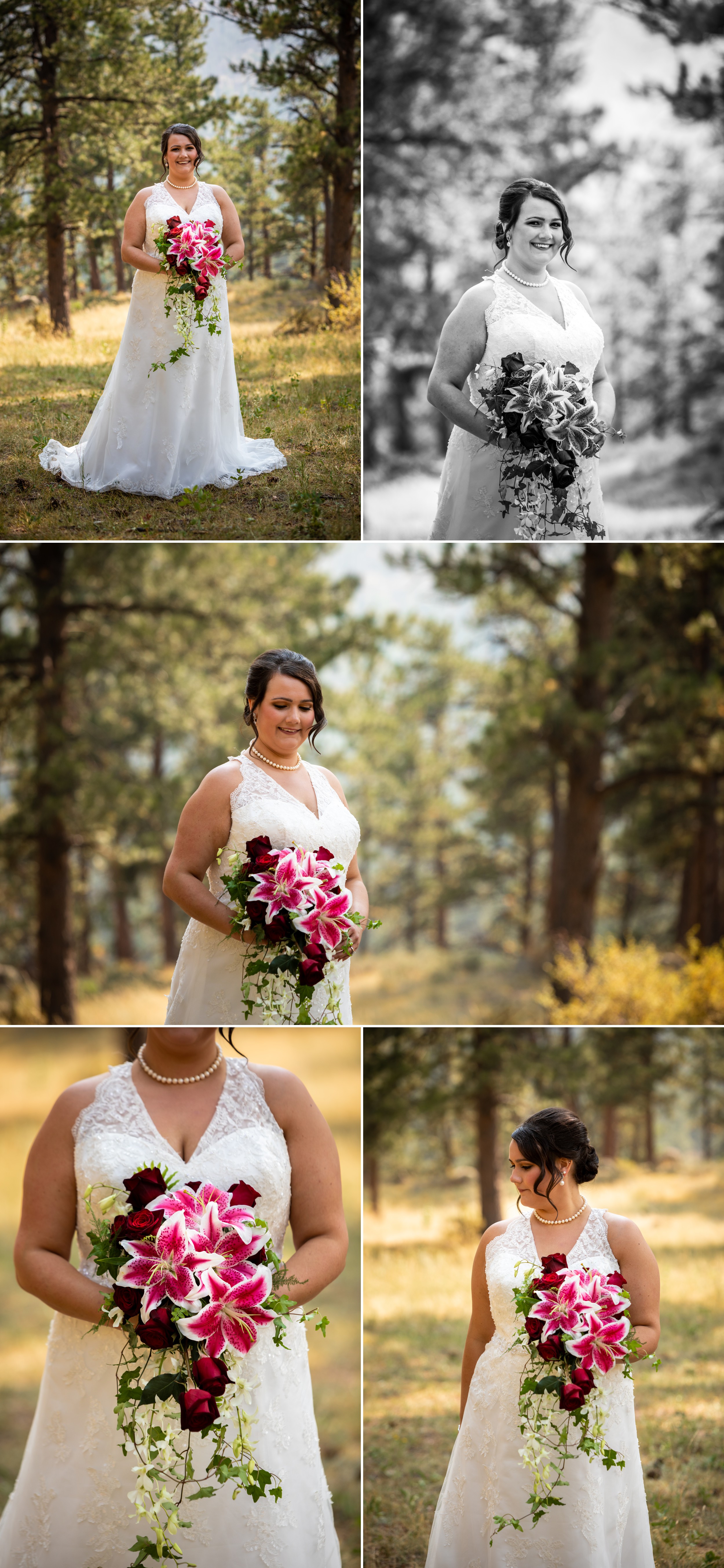 Della Terra Mountain Chateau, Estes Park Colorado Wedding