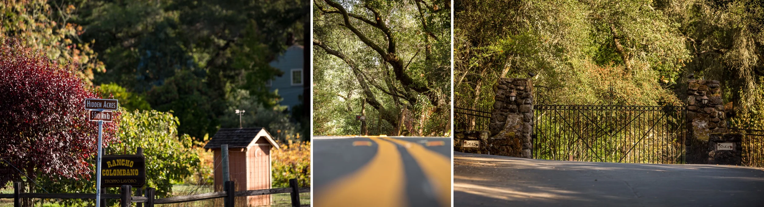 Healdsburg_California_Wedding_Photographer_ 1.jpg