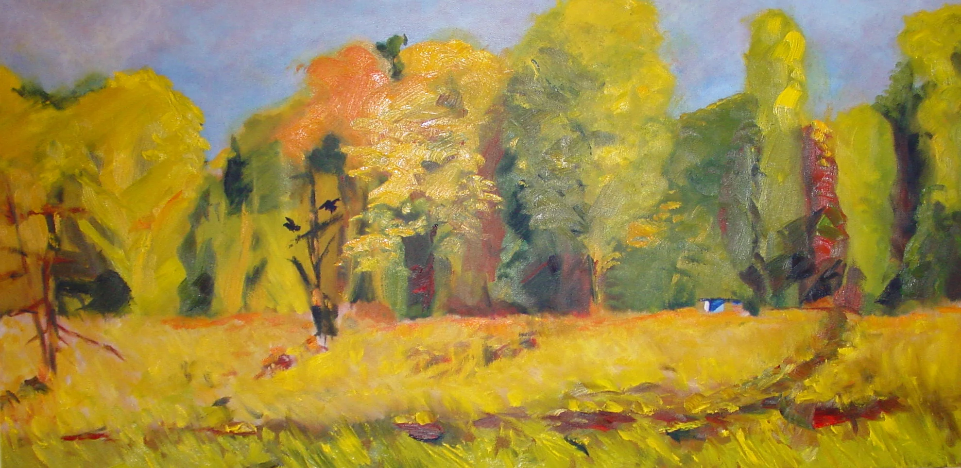 DSC00165 cropped.jpg