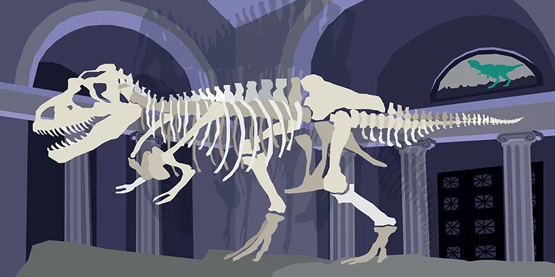Trex 800x400.jpg