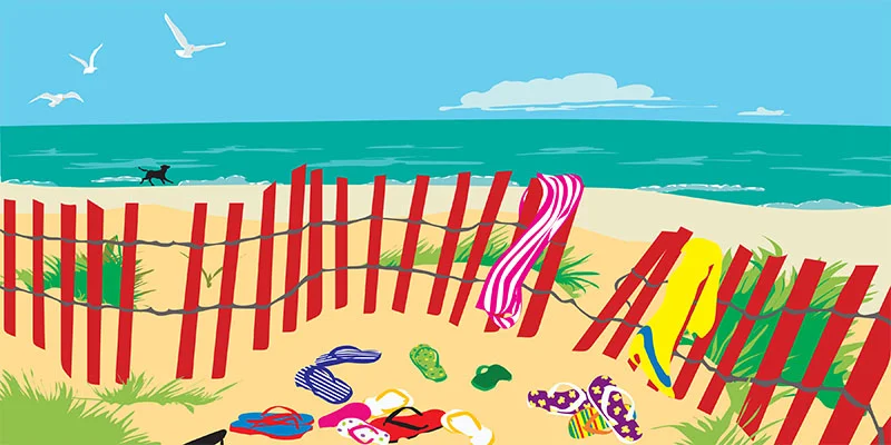 Beach Fence 800x400.jpg