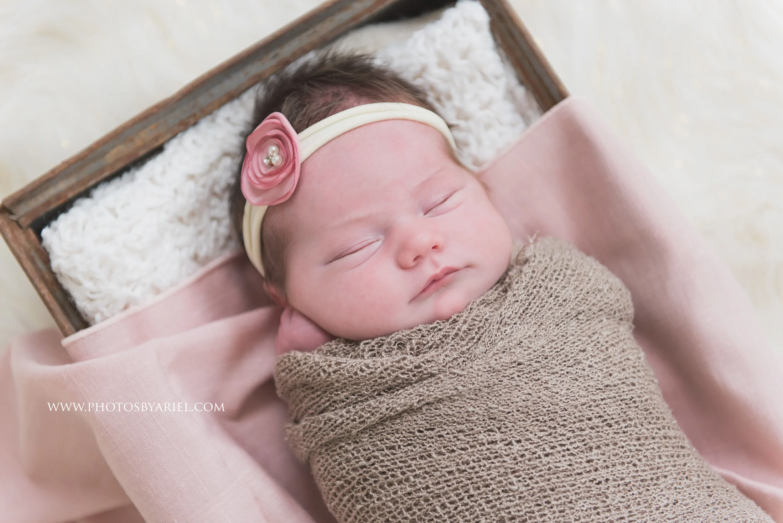 DSC_6626-Edit.jpg