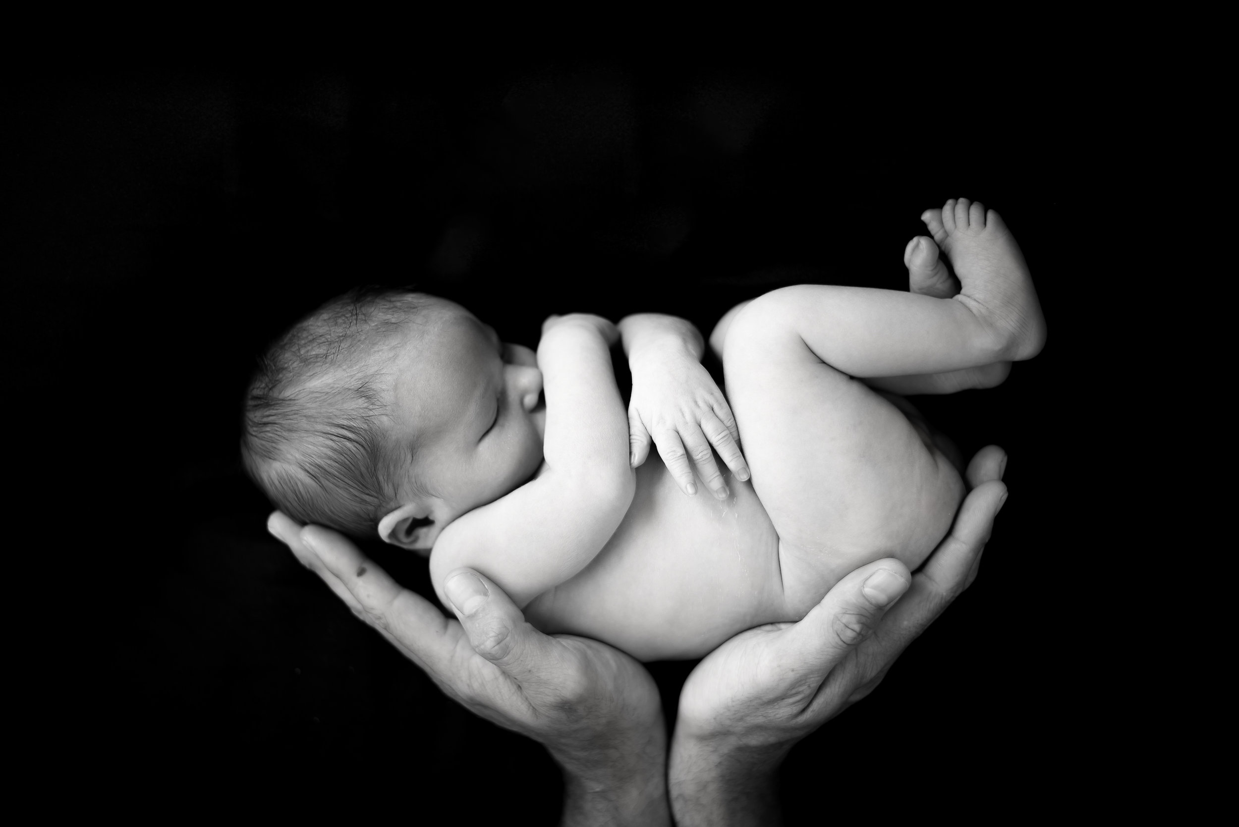 black and white newborn photo in daddys hands