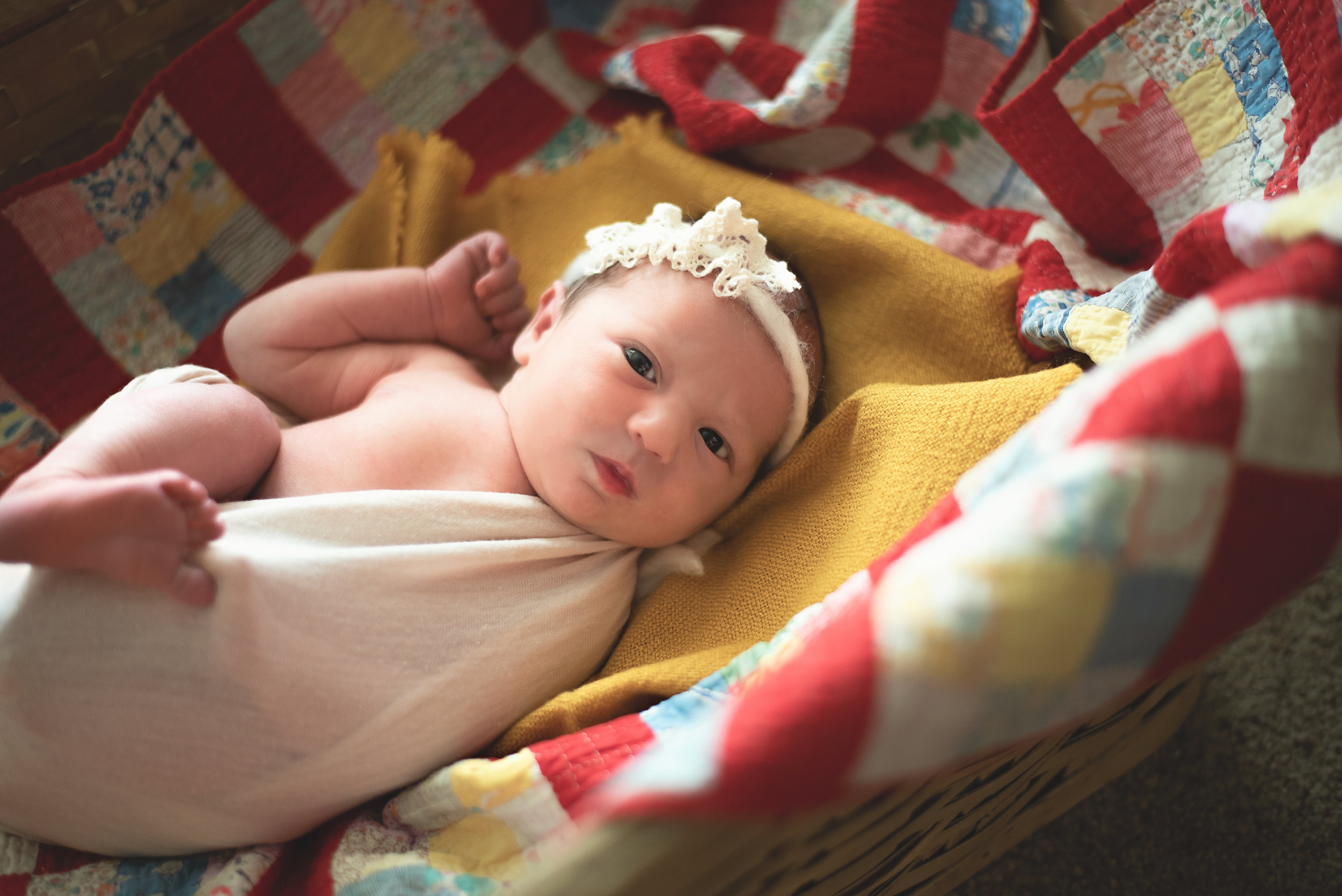 newborn baby in basket