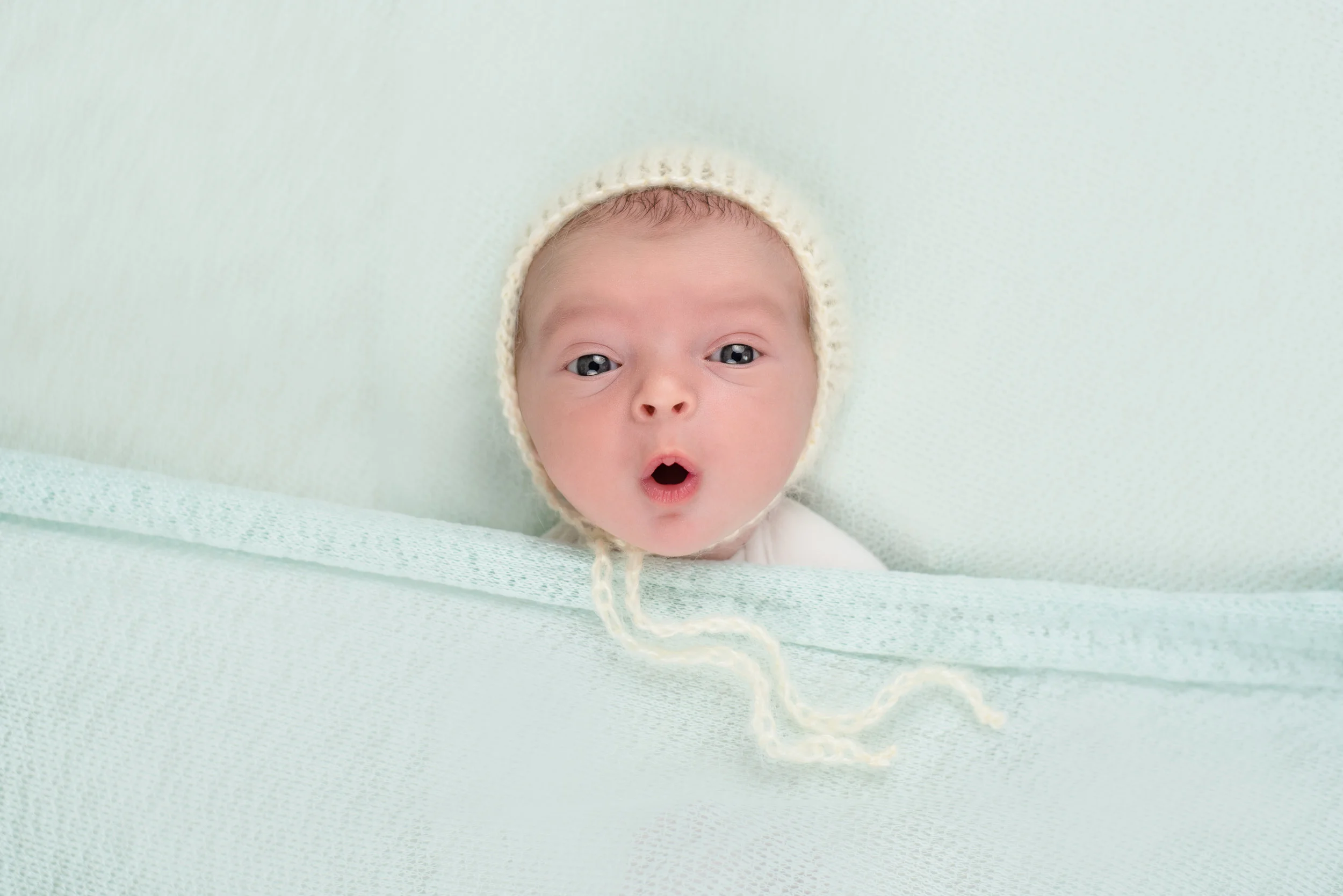 Photos by Ariel, Wholistic Photography, Central Illinois Photographer, Central Illinois Newborn Photographer, Central Illinois family photographer, Springfield Illinois Photographer, Springfield Illinois Newborn Photographer, Springfield Illinois Family Photographer, Bloomington Illinois Photographer, Bloomington Illinois Newborn Photographer, Bloomington Illinois Family Photographer, Normal Illinois Photographer, Normal Illinois Newborn Photographer, Normal Illinois Family Photographer, Peoria Illinois Photographer, Peoria Illinois Newborn Photographer, Peoria Illinois Family Photographer,