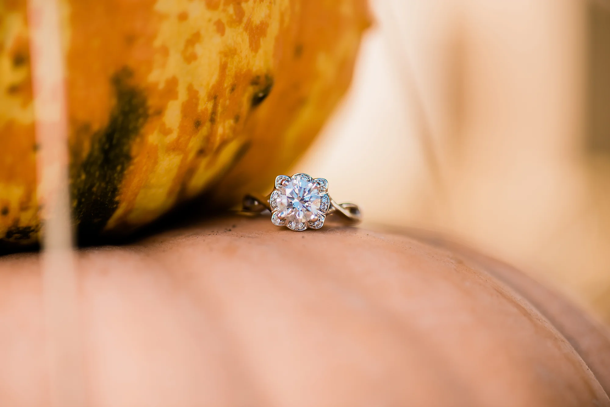 Illinois Wedding Photographer, Central Illinois wedding photographer, Lincoln Illinois wedding photographer, Bloomington Illinois Wedding Photographer, Normal Illinois Wedding Photographer, Springfield Illinois Wedding Photographer, Peoria Illinois Wedding Photographer, Photos by Ariel, Photos by Ariel Wholistic Photography, Bride & groom portrait, outdoor wedding and outdoor reception, fall wedding, fall wedding colors, fall wedding inspiration, sunflower wedding, maroon wedding colors