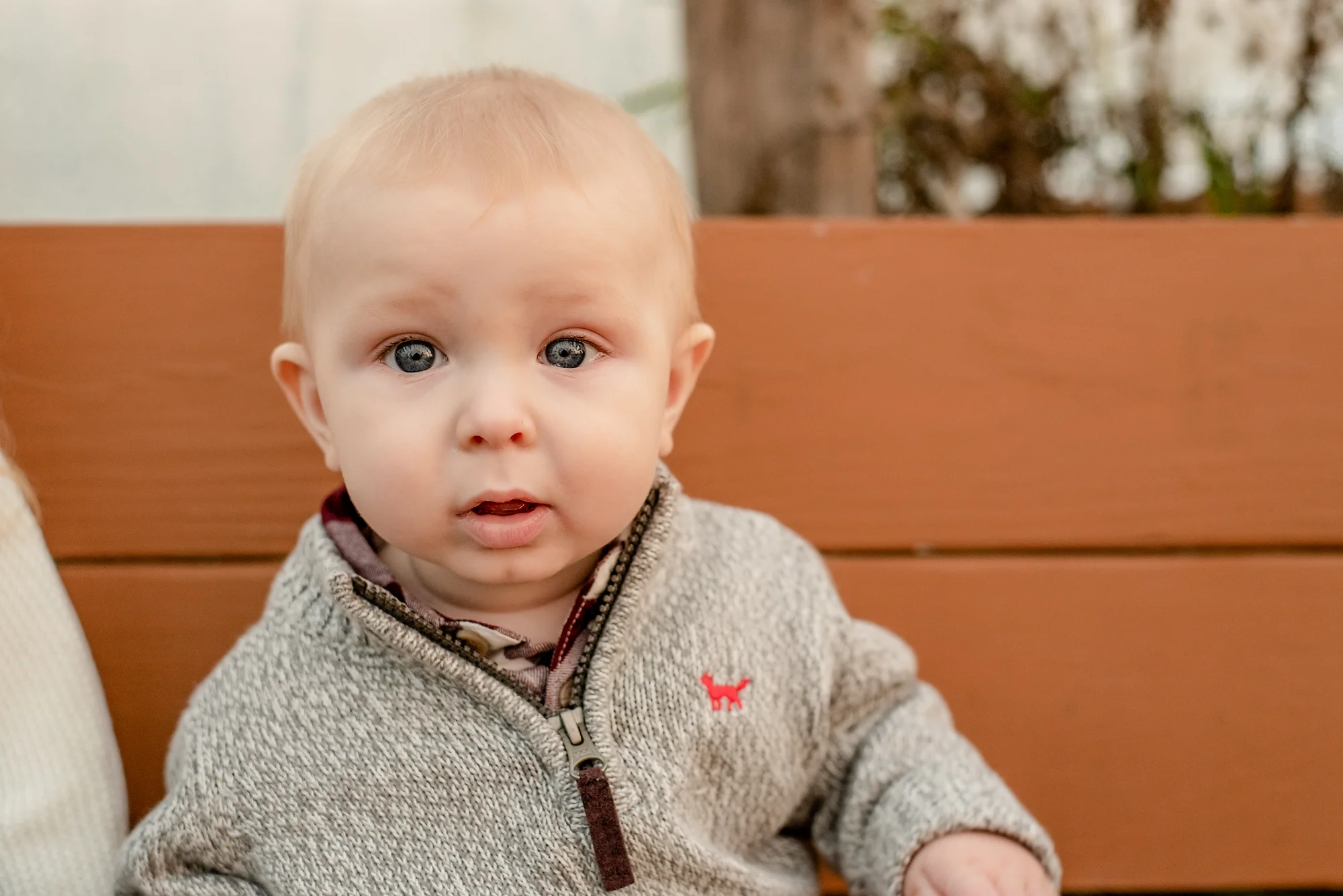 DSC_5526 facebook.jpg