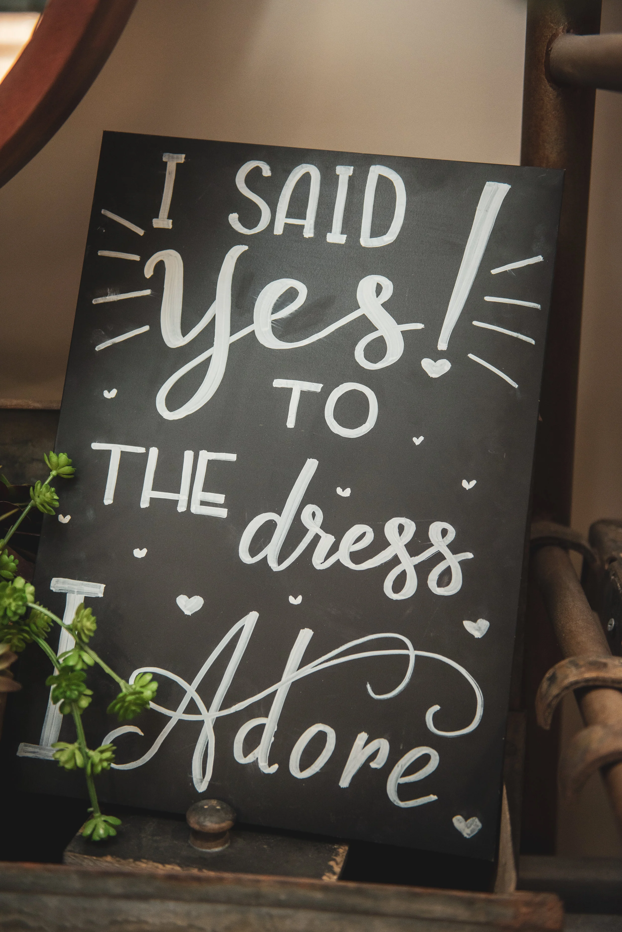 Adore Bridal Boutique in Morton, Illinois, Bridal Dress Shops in Illinois, Central Illinois Bridal Shops, Bridal shops Lincoln Illinois, Bridal Shops peoria Illinois, Bridal Shops Bloomington Illinois, Bridal Shops Springfield Illinois, Wedding Blog, Wedding Photography, Central Illinois Wedding Photographer, Illinois Wedding Photographer, Bloomington Illinois Wedding Photographer, Lincoln Illinois wedding photographer, peoria Illinois wedding photographer, Decatur Illinois wedding photographer, Springfield Illinois wedding photographer, photos by Ariel, wedding photographers near me, wedding photography blog, where to go wedding dress shopping
