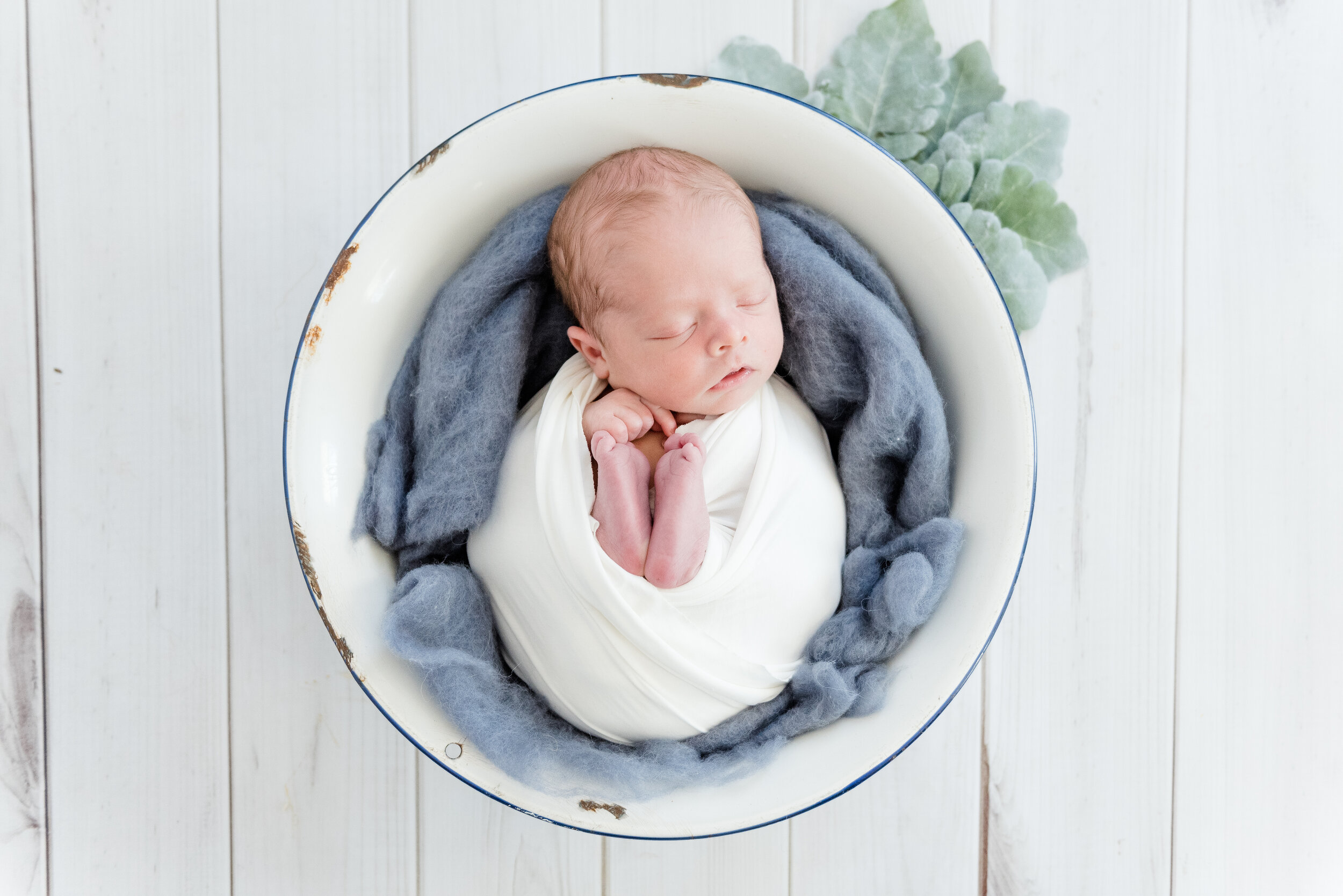 newborn baby boy in bowl Organic | Photos by Ariel