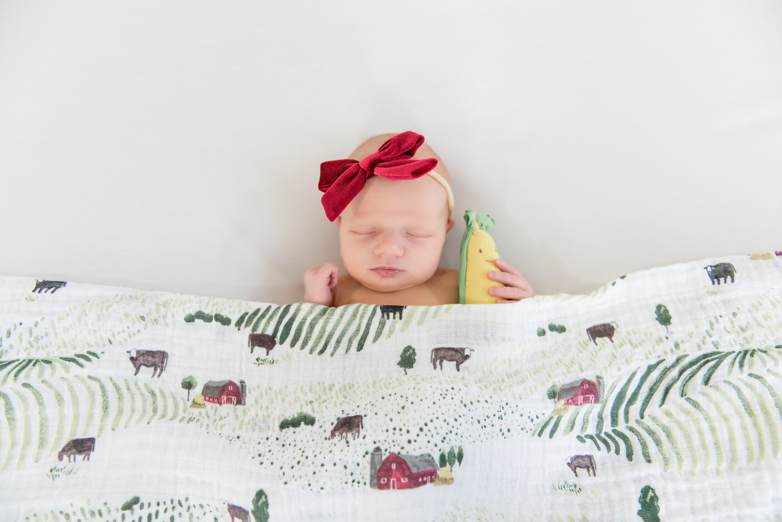  Illinois newborn photographer, central Illinois newborn photographer, Bloomington Illinois newborn photographer, springfield Illinois newborn photographer, Peoria Illinois newborn photographer, Decatur Illinois newborn photographer, Normal Illinois 