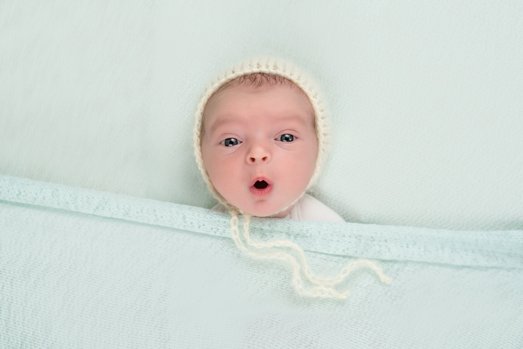  Illinois newborn photographer, central Illinois newborn photographer, Bloomington Illinois newborn photographer, springfield Illinois newborn photographer, Peoria Illinois newborn photographer, Decatur Illinois newborn photographer, Normal Illinois 