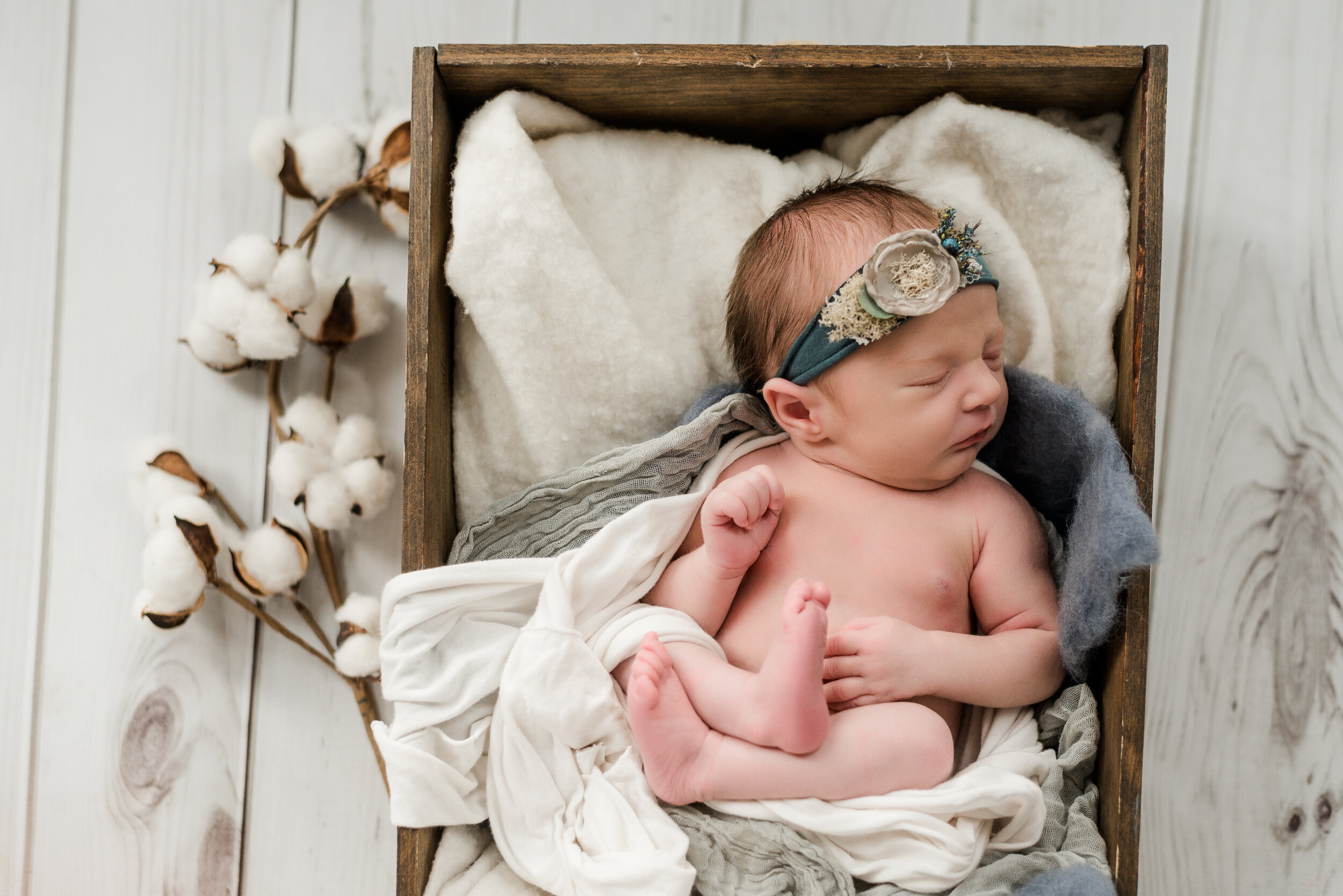  Illinois newborn photographer, central Illinois newborn photographer, Bloomington Illinois newborn photographer, springfield Illinois newborn photographer, Peoria Illinois newborn photographer, Decatur Illinois newborn photographer, Normal Illinois 