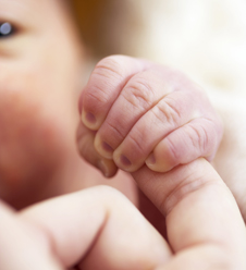 The palmar grasp reflex , one of some 70 primitive reflexes which are "preprogrammed" in every newborn, appears at birth and persists until five or six months of age. When an object is placed in the infant's hand and strokes their palm, the fingers will close and they will grasp it .