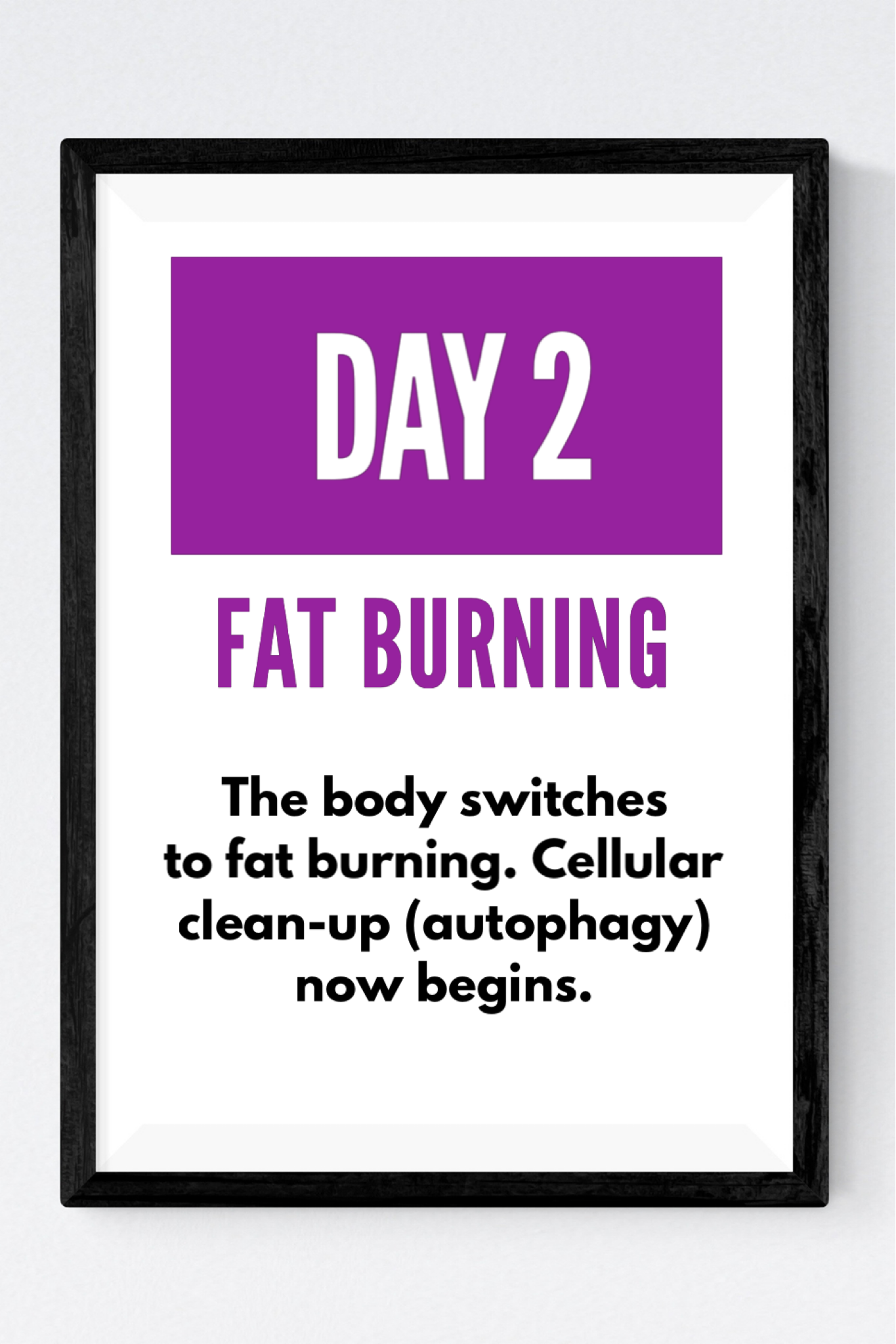 Day 2 of ProLon Fasting Mimicking Diet - Fat Burning
