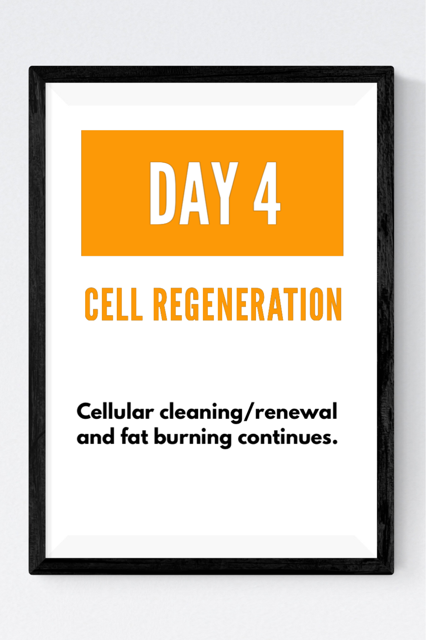 Day 4 of ProLon Fasting Mimicking Diet - Cell Regeneration