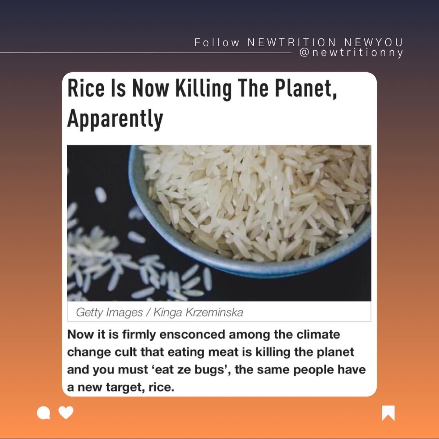 In today&rsquo;s &ldquo;Save-the-Earth; Kill-the-People&rdquo; News, looks like the
environazis have set their sights on a new target&mdash;rice!
.
To preface, I&rsquo;m not a big fan of rice in terms of health, but I&rsquo;m also well aware that mor