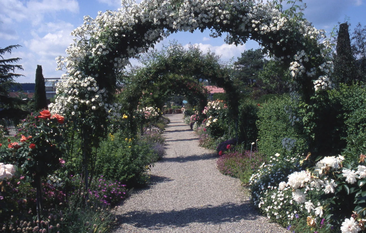 schaugarten rosenb�gen fh.jpg
