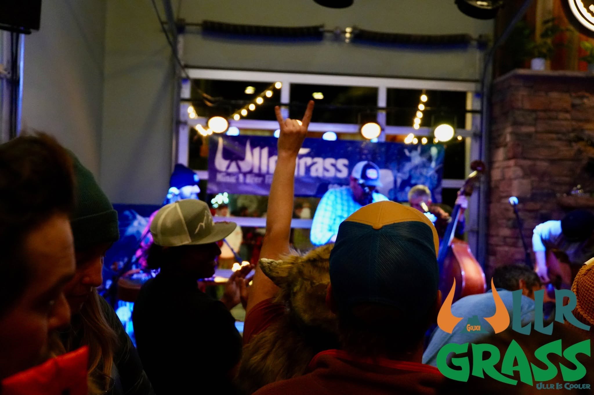 A crowd at a concert or event with a person's hand raised showing the rock on gesture. There are string lights and a stage in the background with performers and a banner that reads 'Wildgrass'.