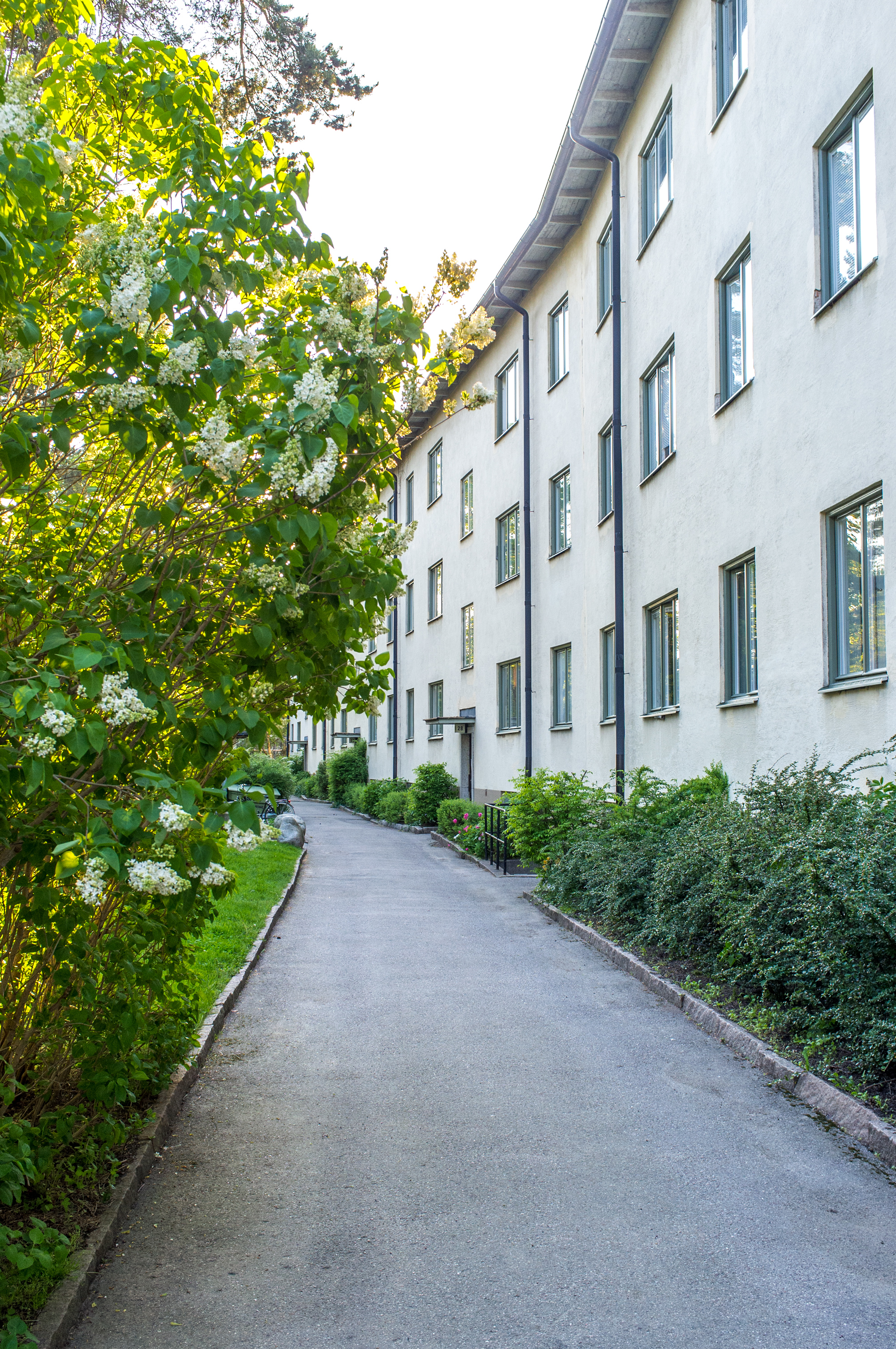 Vita-huset.jpg