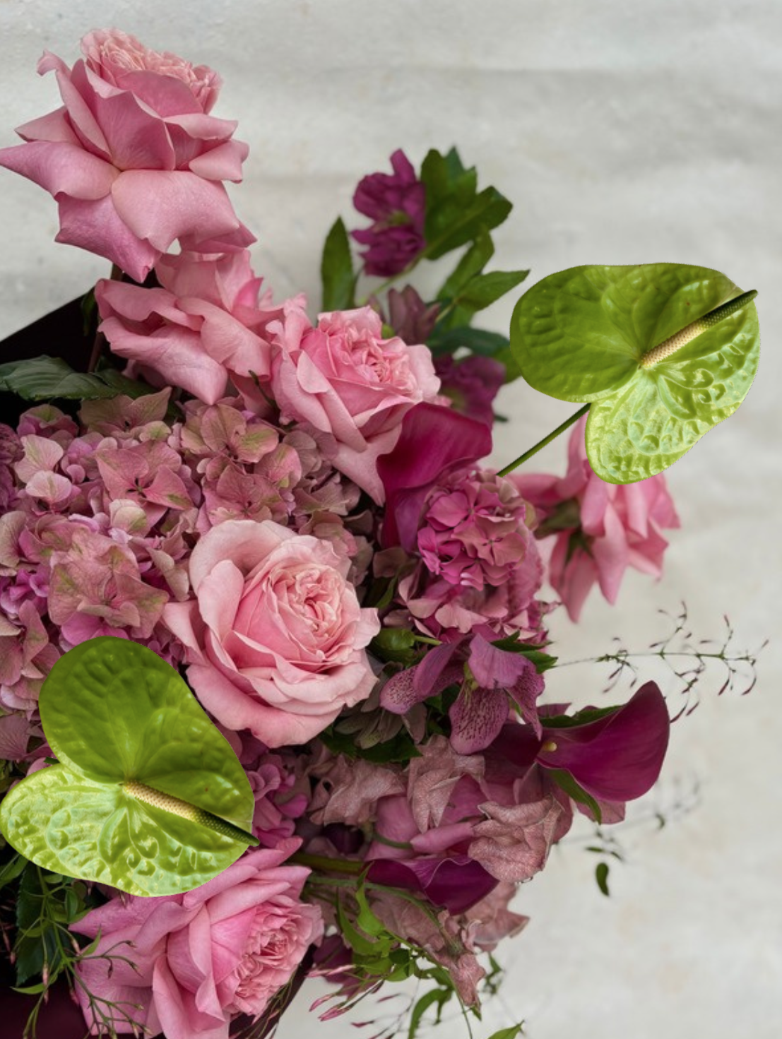 Screenshot 2026-01-23 at 12.44.14 PM.png