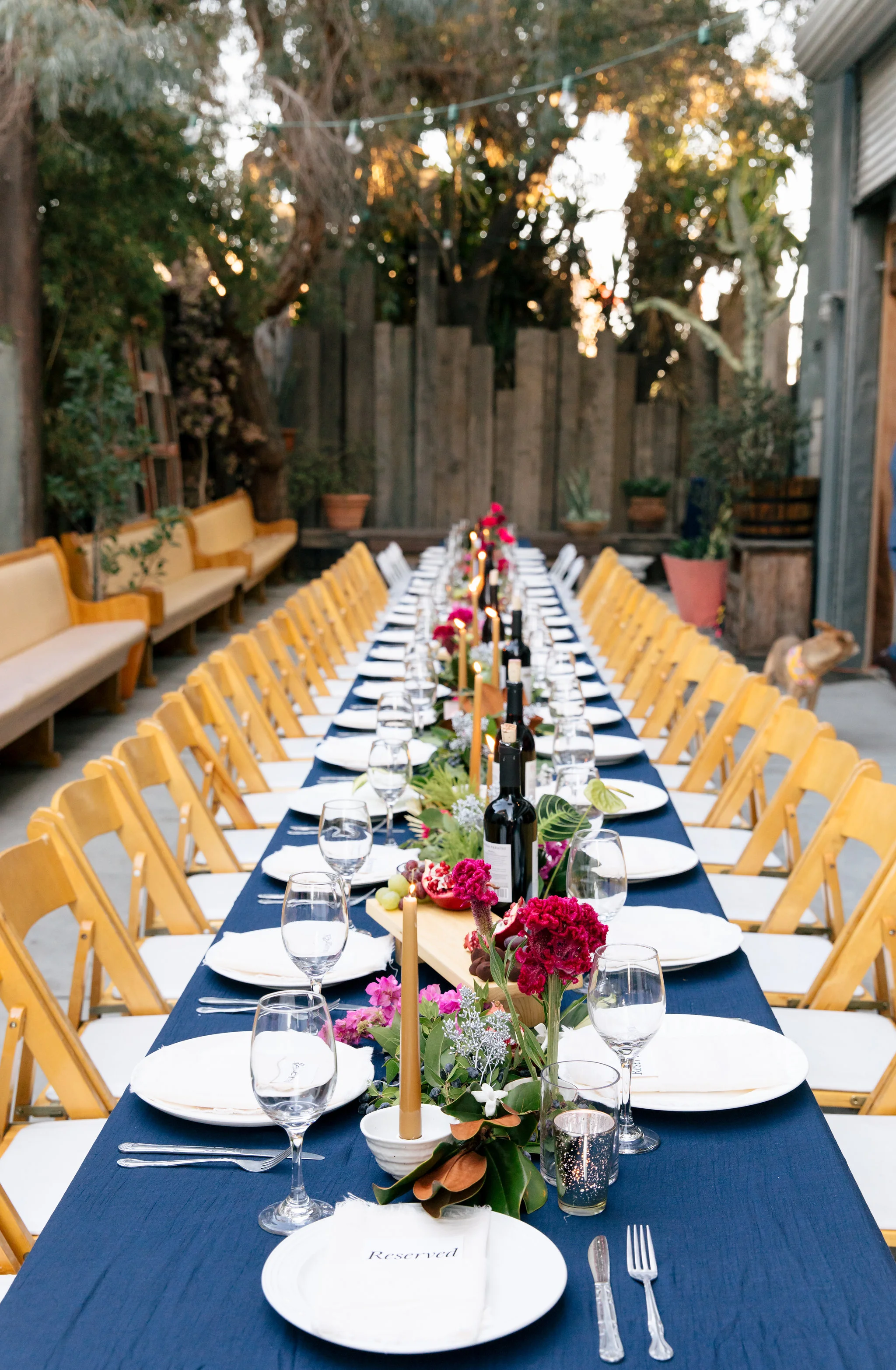TashinaHuy_Reception017.JPG