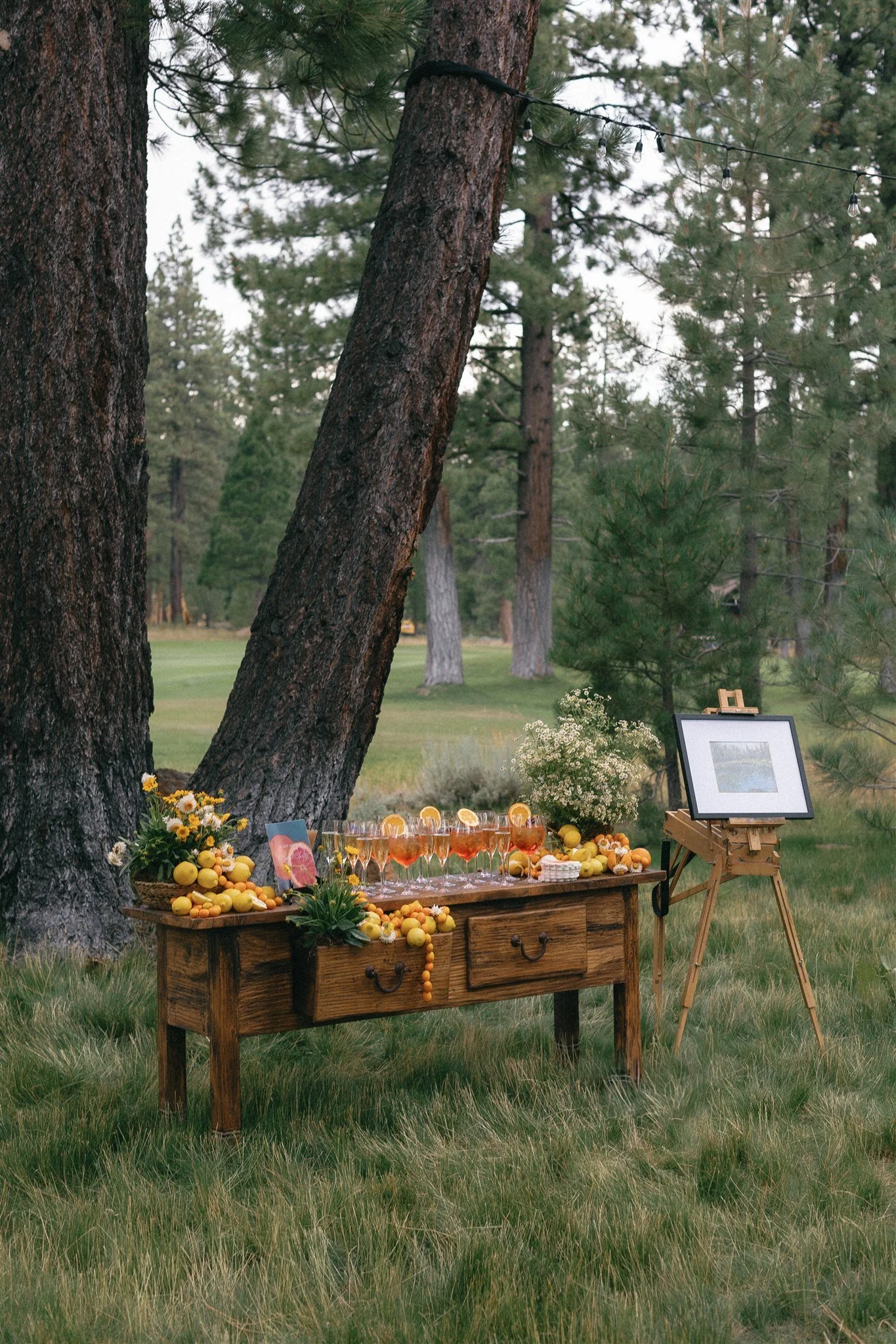 danielle-and-jeff-tahoe-wedding-397 copy.jpg