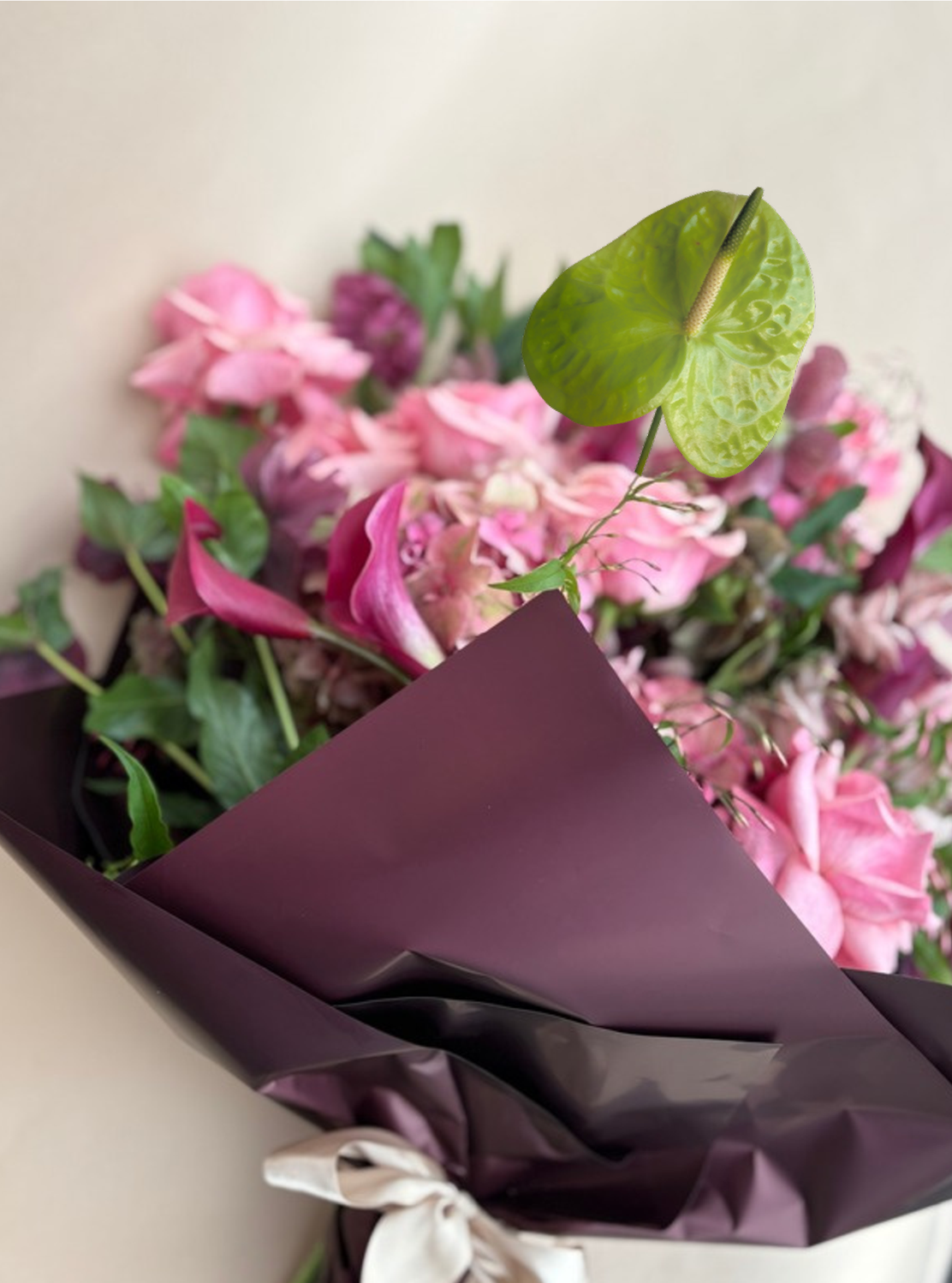 Screenshot 2026-01-23 at 12.52.41 PM.png