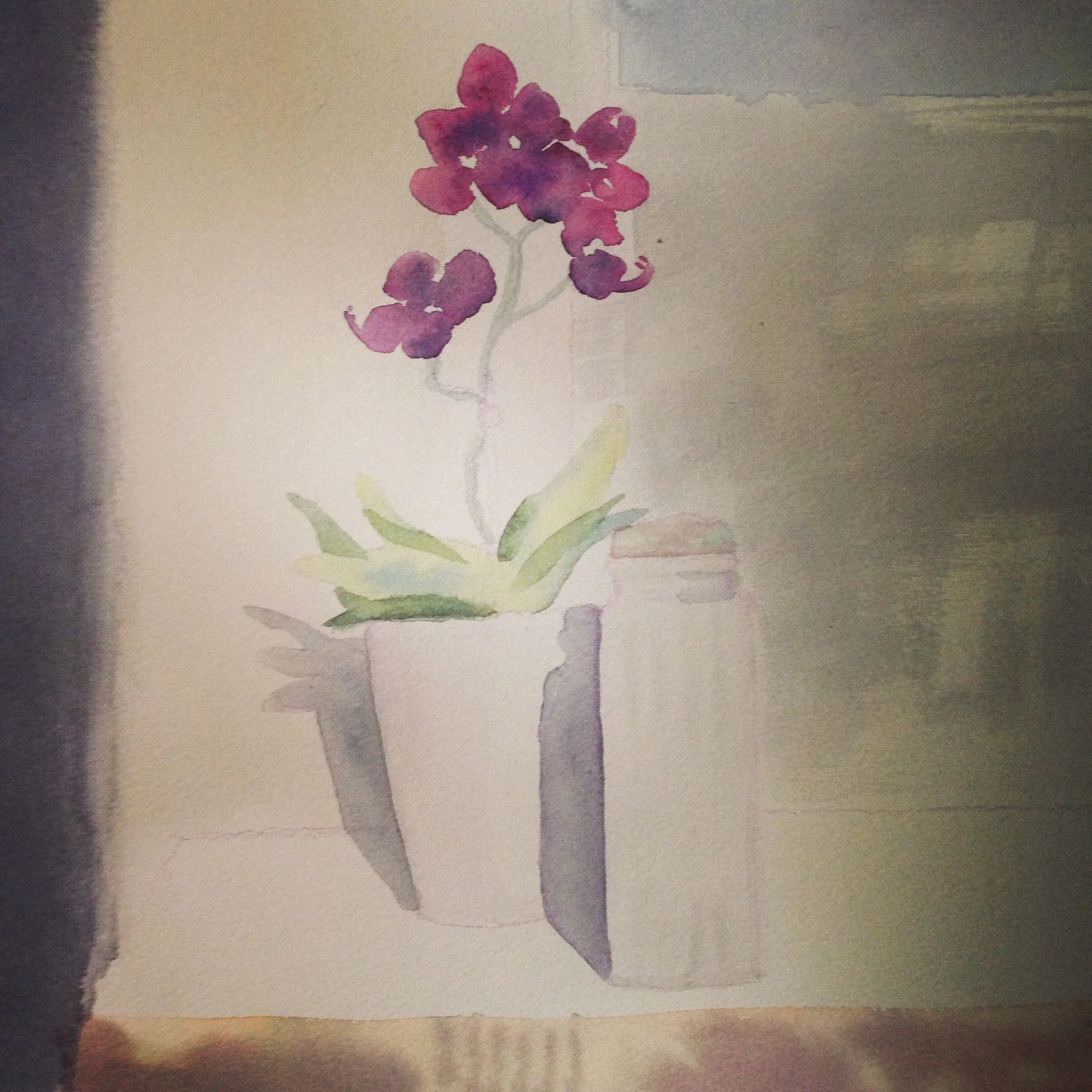 orchid_bottles.jpg