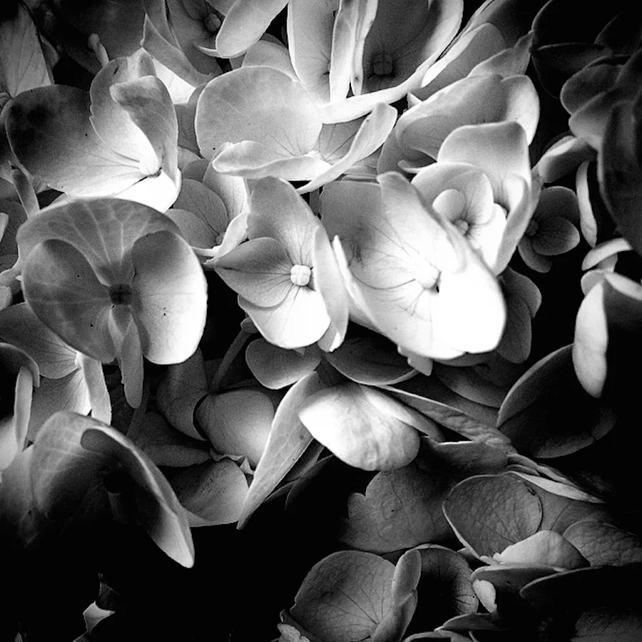 07 Black and White 1