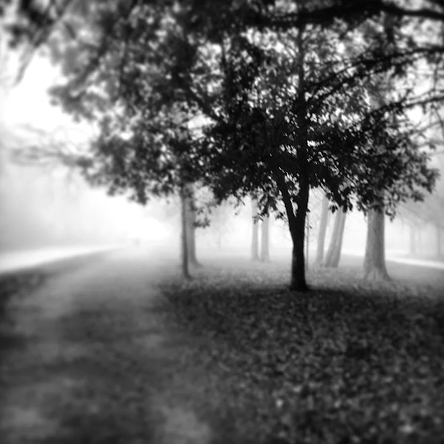 12 Black and White 1