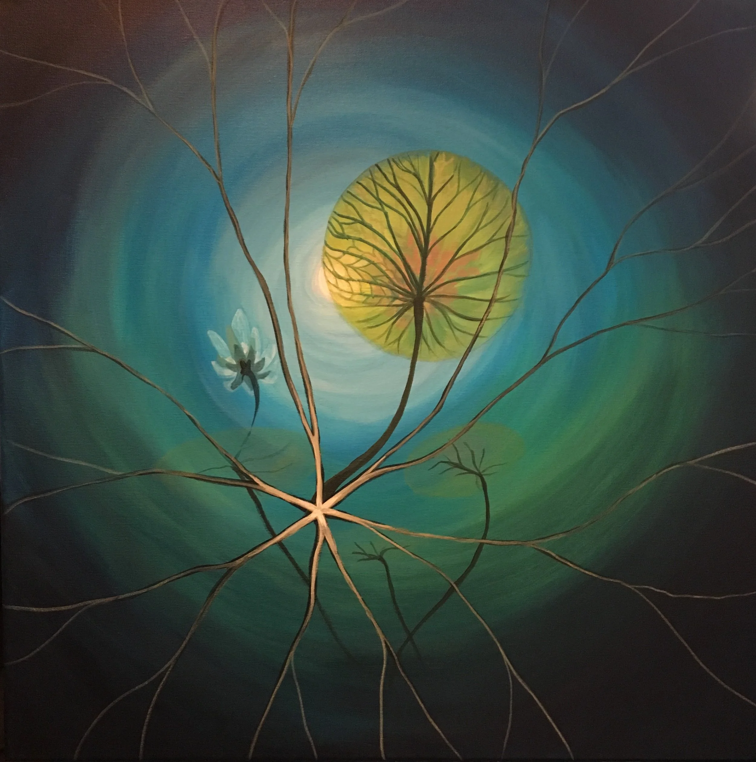eclipse24x24.jpg