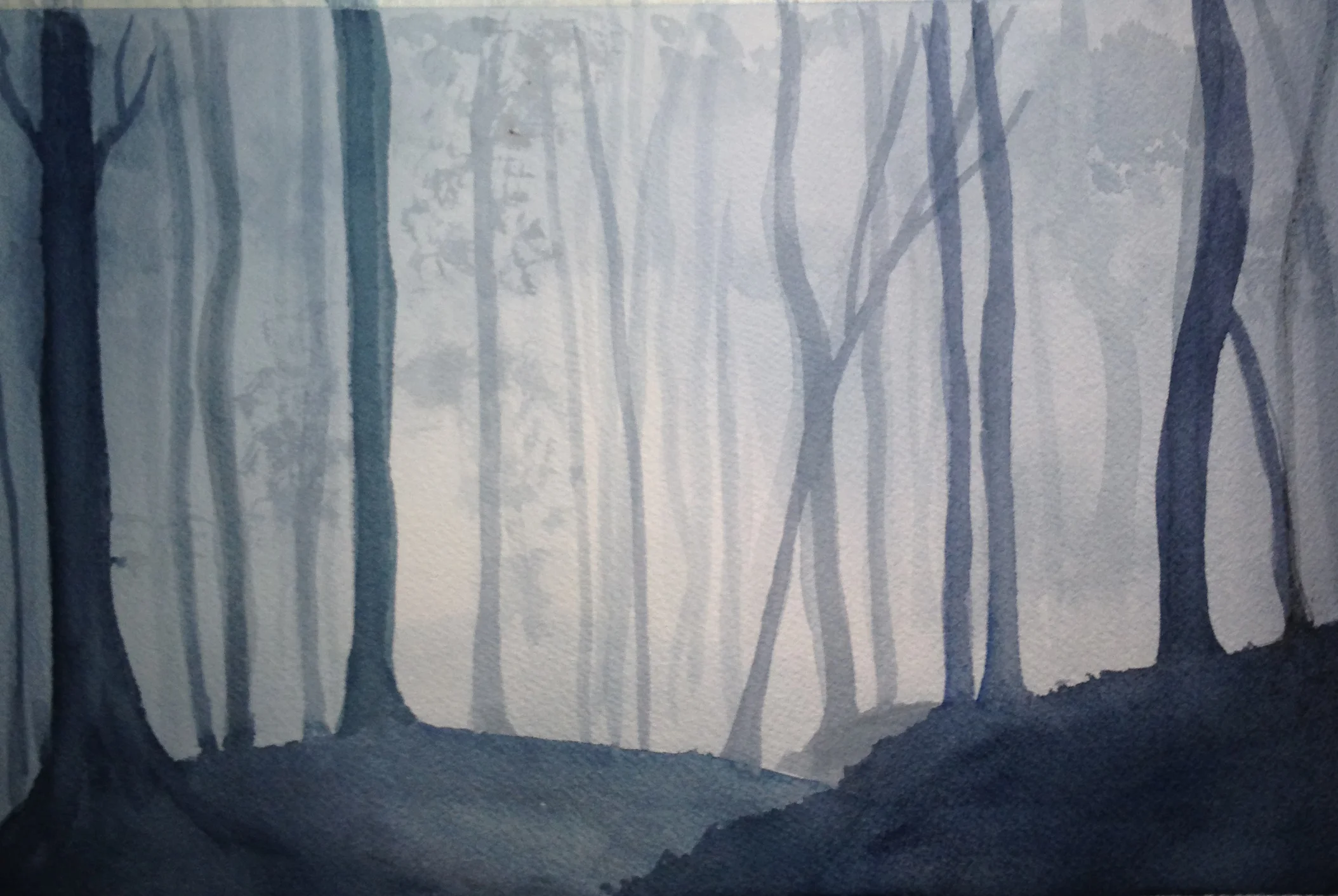 bluewoods.jpg