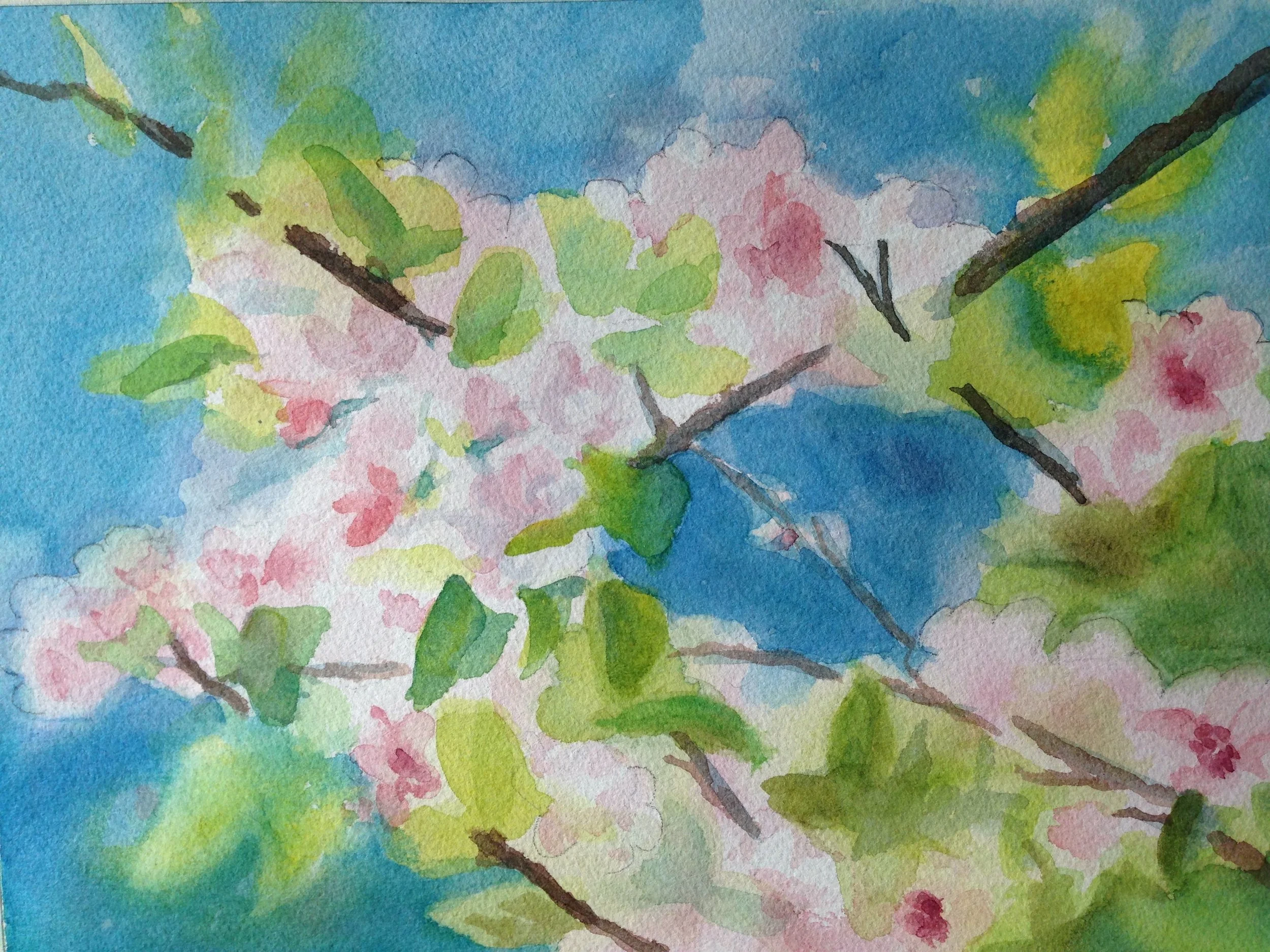 cherry_blossoms.jpg
