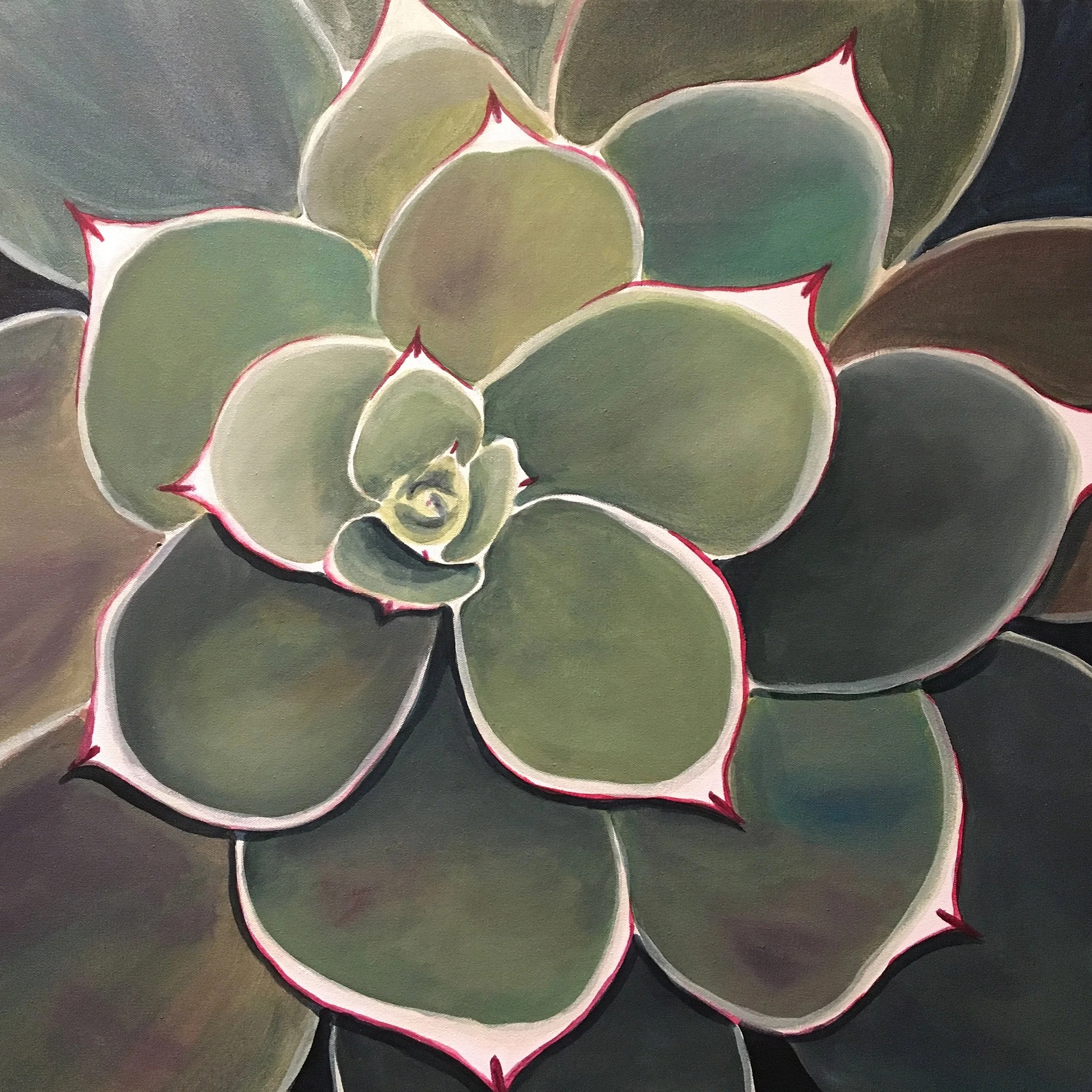 succulent24x24.JPG