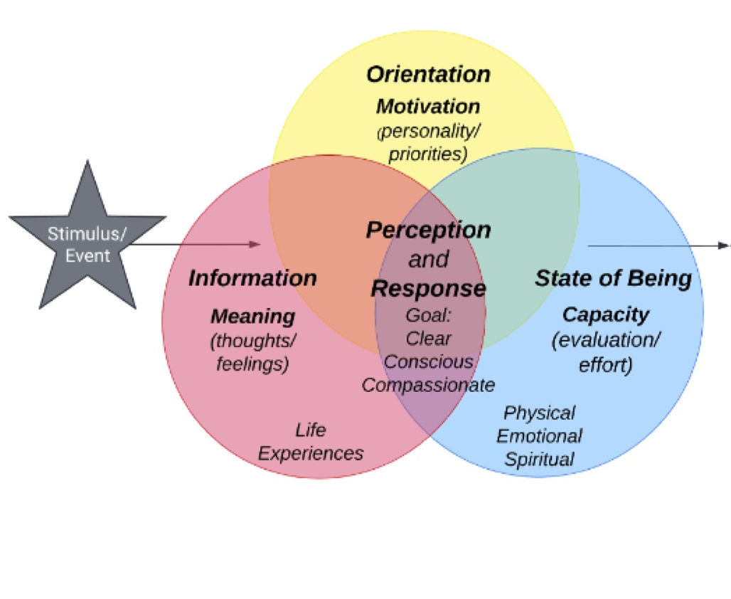 venn diagram.png