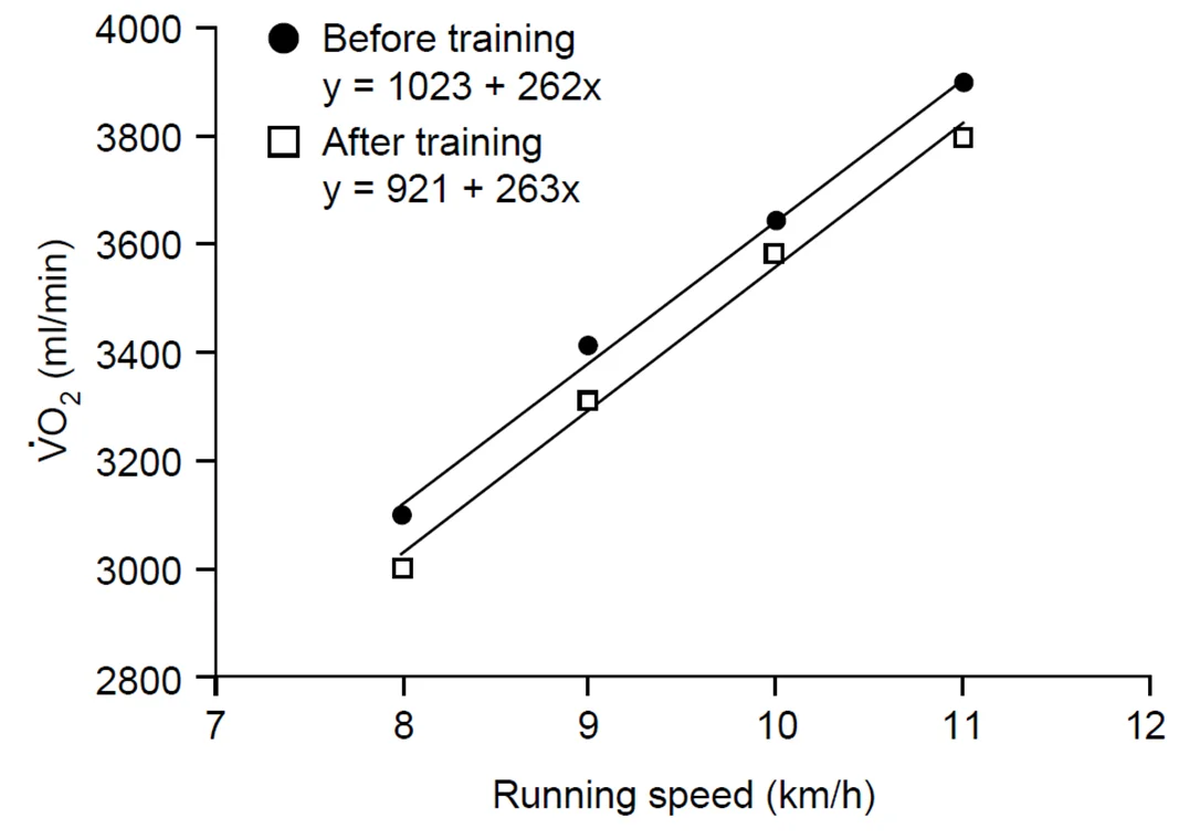 Figure 2. Changes in the oxygen used for running various speeds in human athletes, before and after 6 weeks of endurance training. From Jones, A. & Carter, H. (2000) The effect of endurance training on parameters of aerobic fitness. Sports Medicine, 29, 373–386.