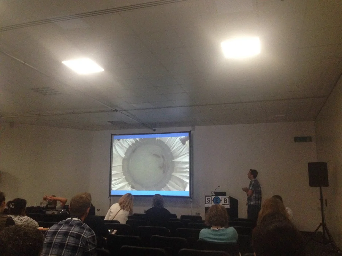 Shaun Killen talks about his recent work in Brazil with Andrew Esbaugh, Tadeu Rantin, and David McKenzie on social air-breathing in African sharptooth catfish.