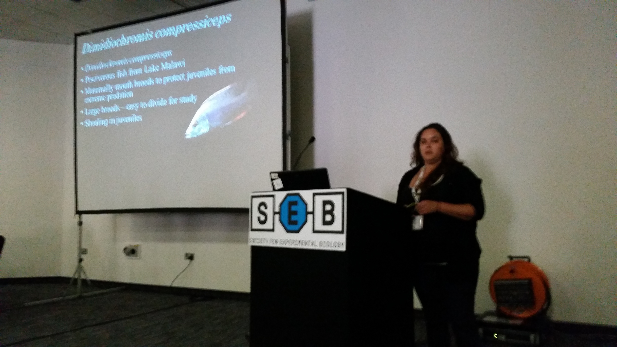 Ph.D. student Tiffany Armstrong (co-supervised with Kevin Parsons) presents her work on how variation in maternal egg brooding quality may affect the social behaviour of offspring.