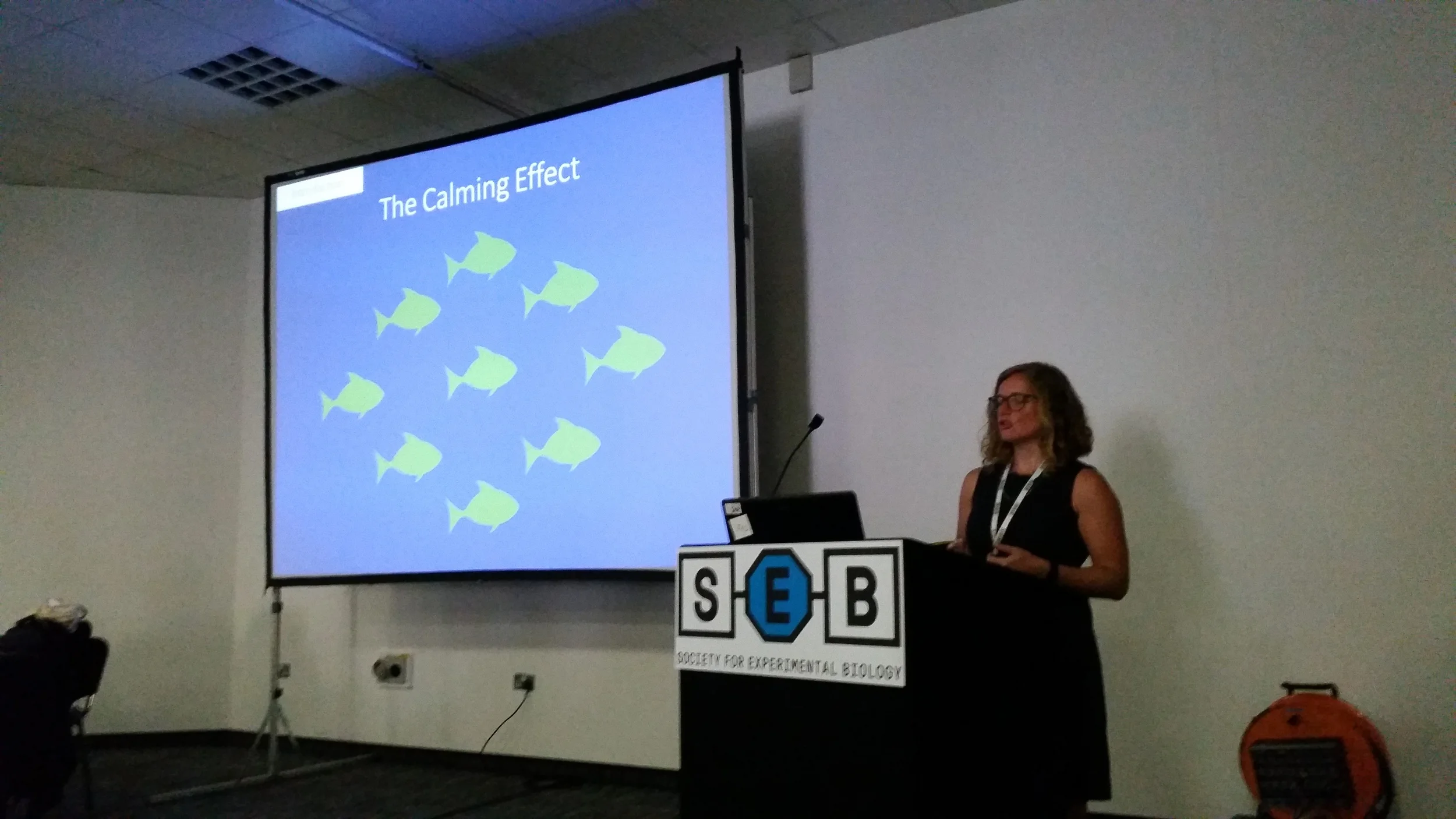 Killen lab collaborator and Ph.D. student Lauren Nadler (James Cooke University, Australia) giving a talk on her work looking at how exposure to shoal-mates can reduce metabolic rates in tropical damselfish. Congrats also to Lauren for winning this year's Young Scientist Award!!
