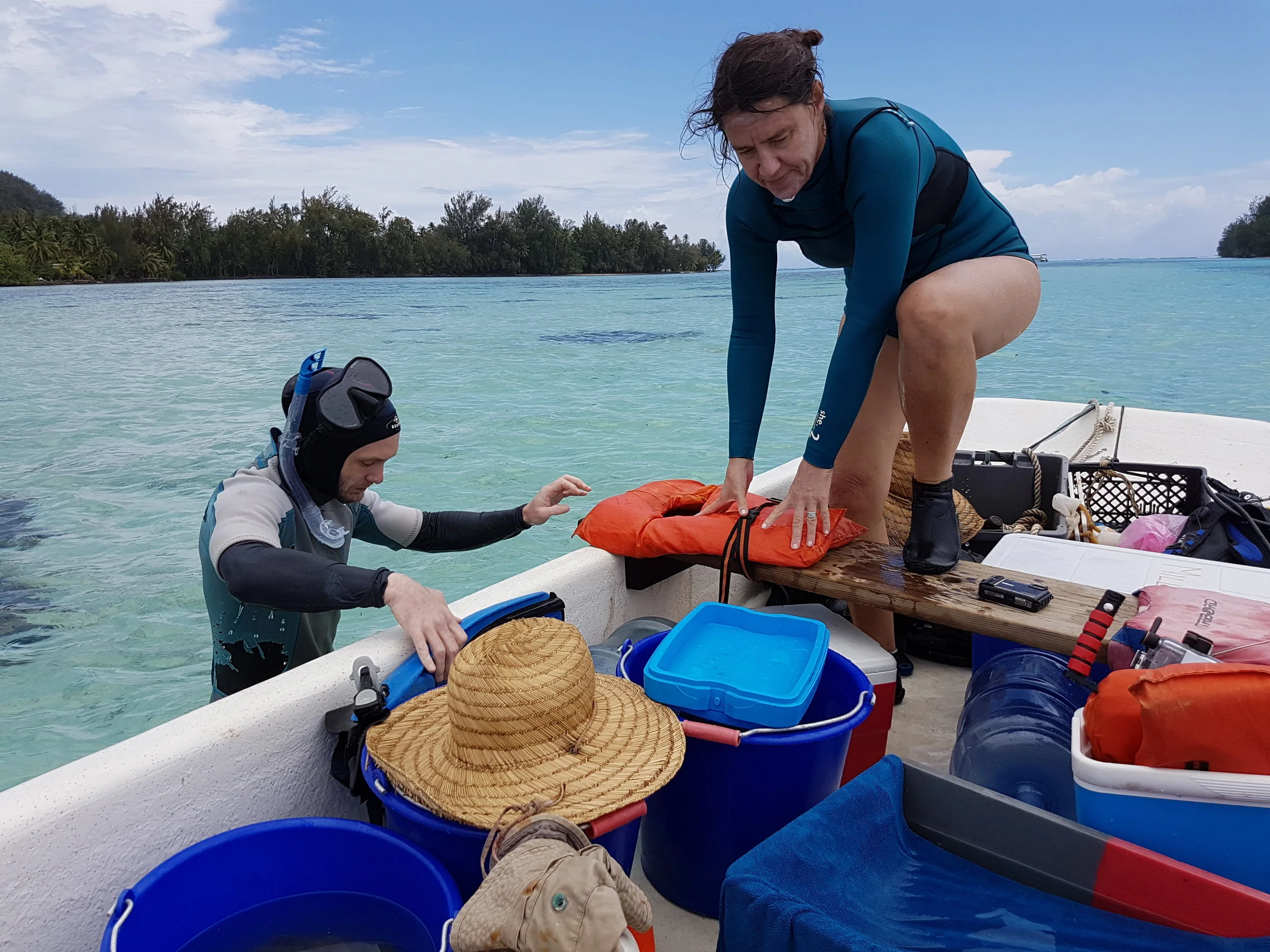 Getting ready to collect some clownfish eggs to take back to the lab for hatching and larval rearing.