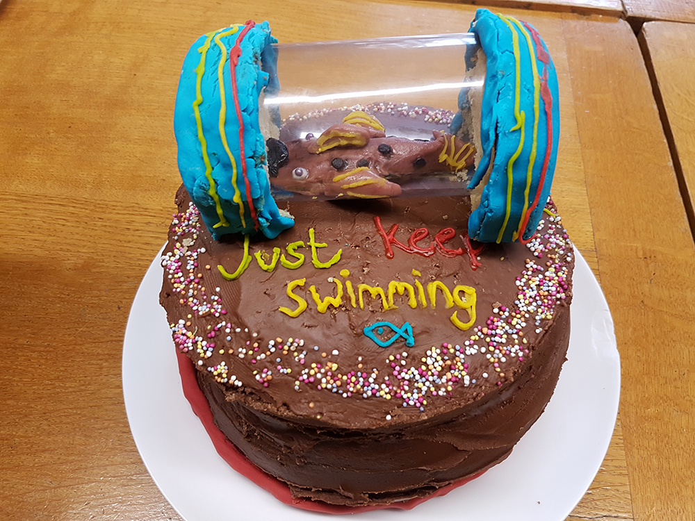 A fondant bullhead in a respirometer, to carry on our long-held institute tradition of study-species inspired viva cakes!